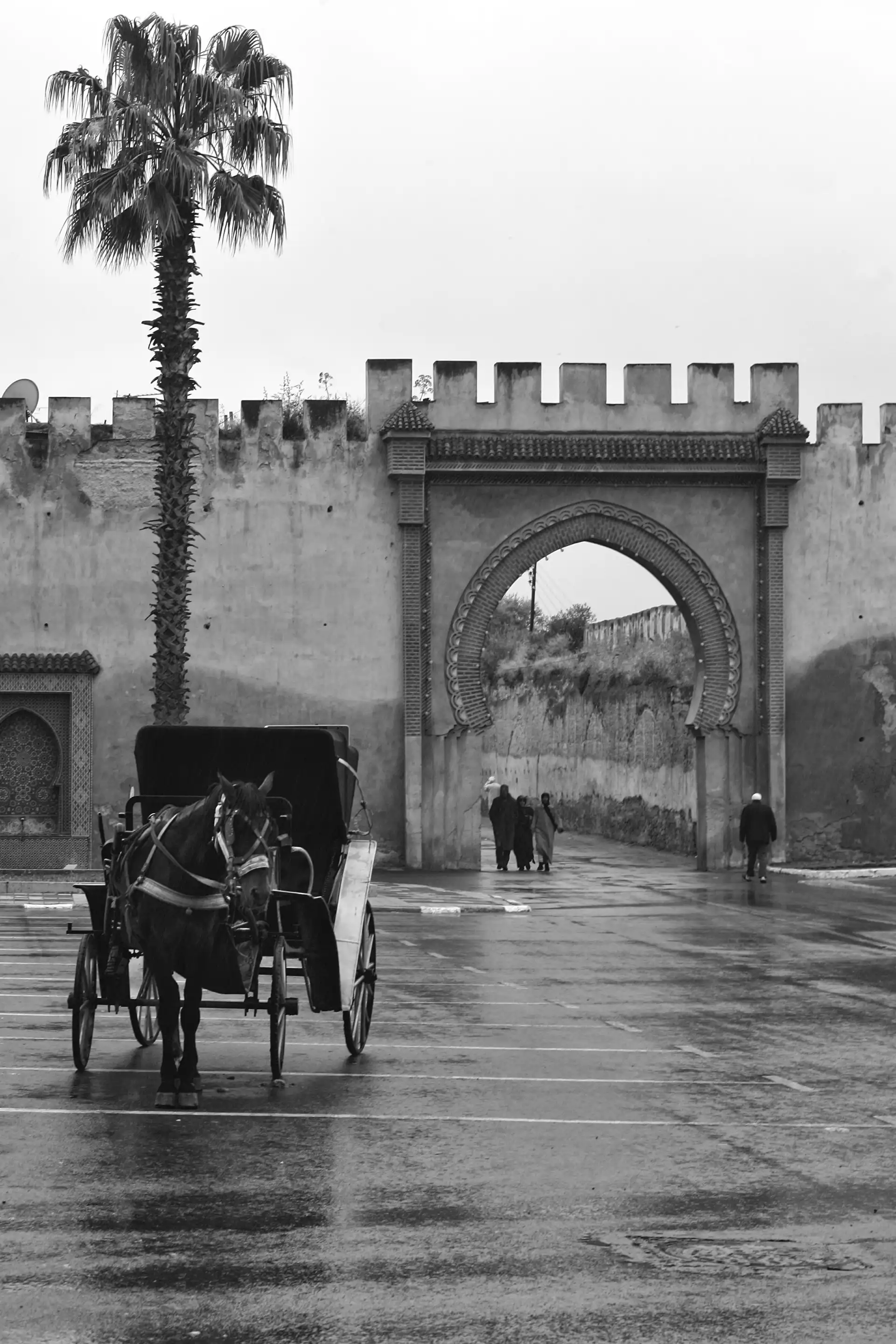 Gonçalo Cunha de Sá