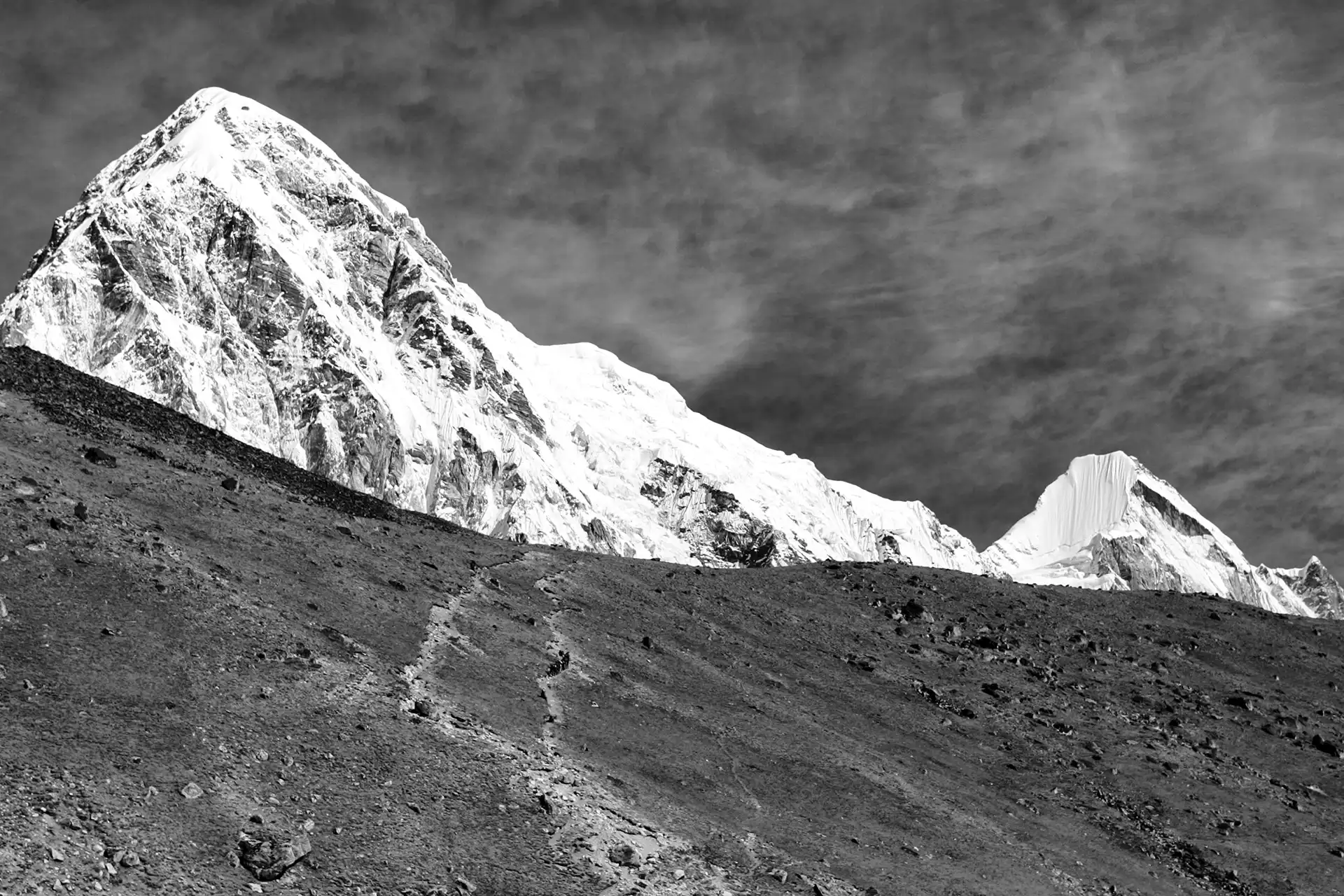 Gonçalo Cunha de Sá