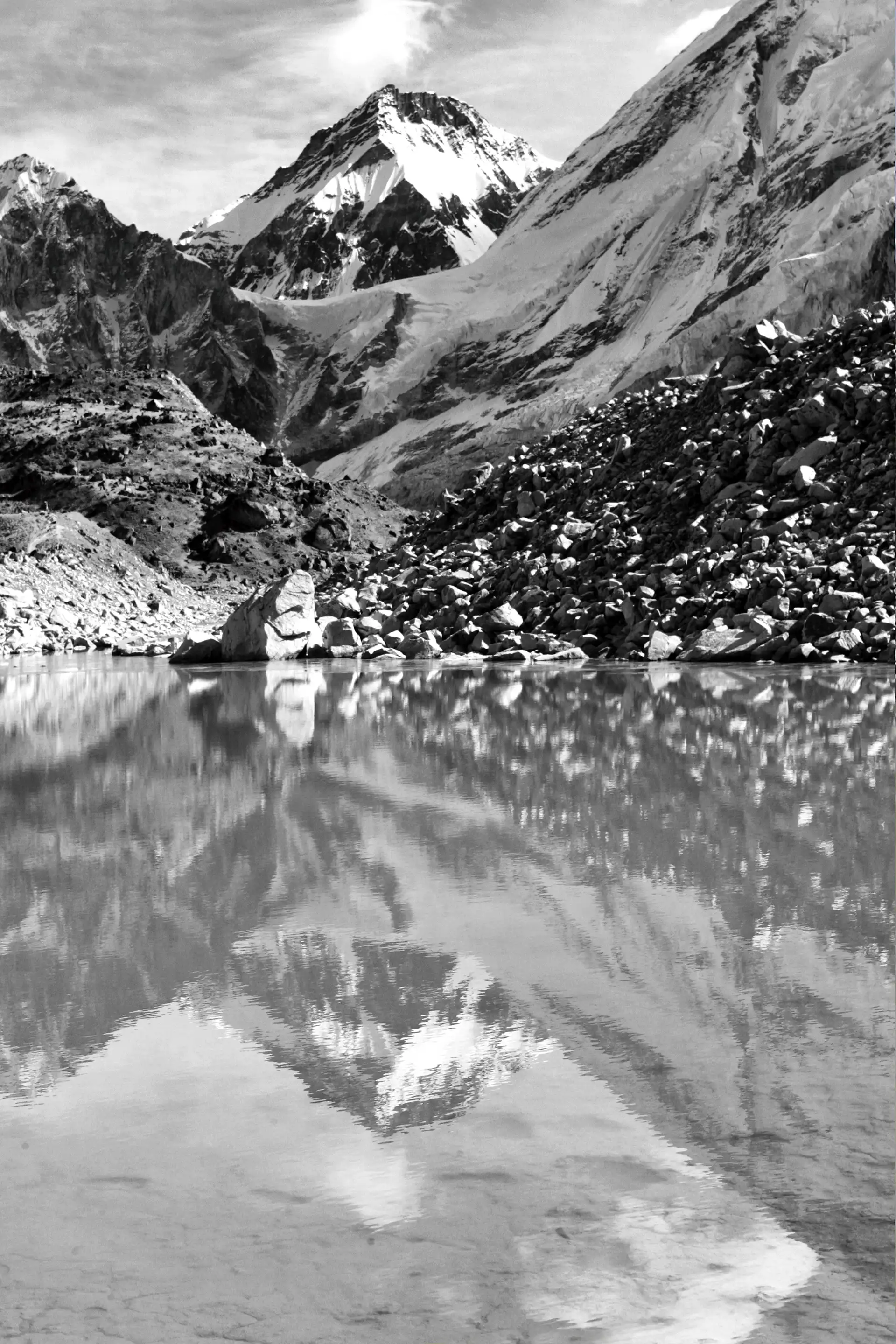 Gonçalo Cunha de Sá