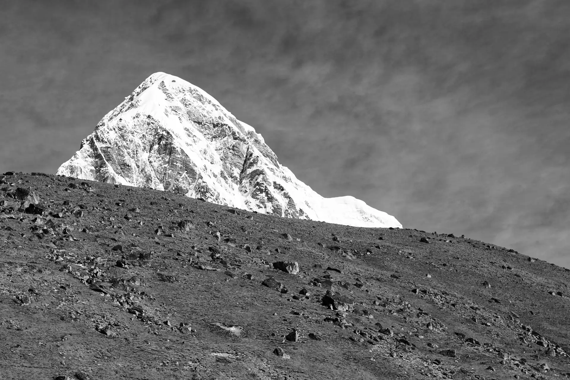 Gonçalo Cunha de Sá