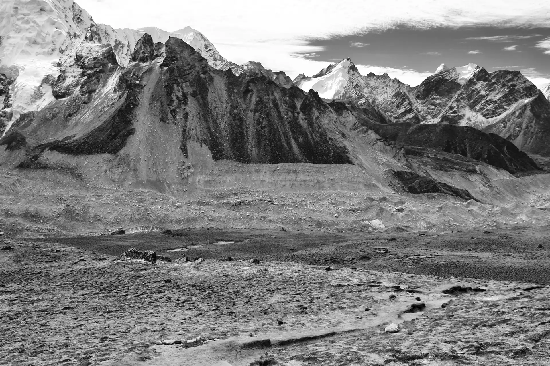 Gonçalo Cunha de Sá