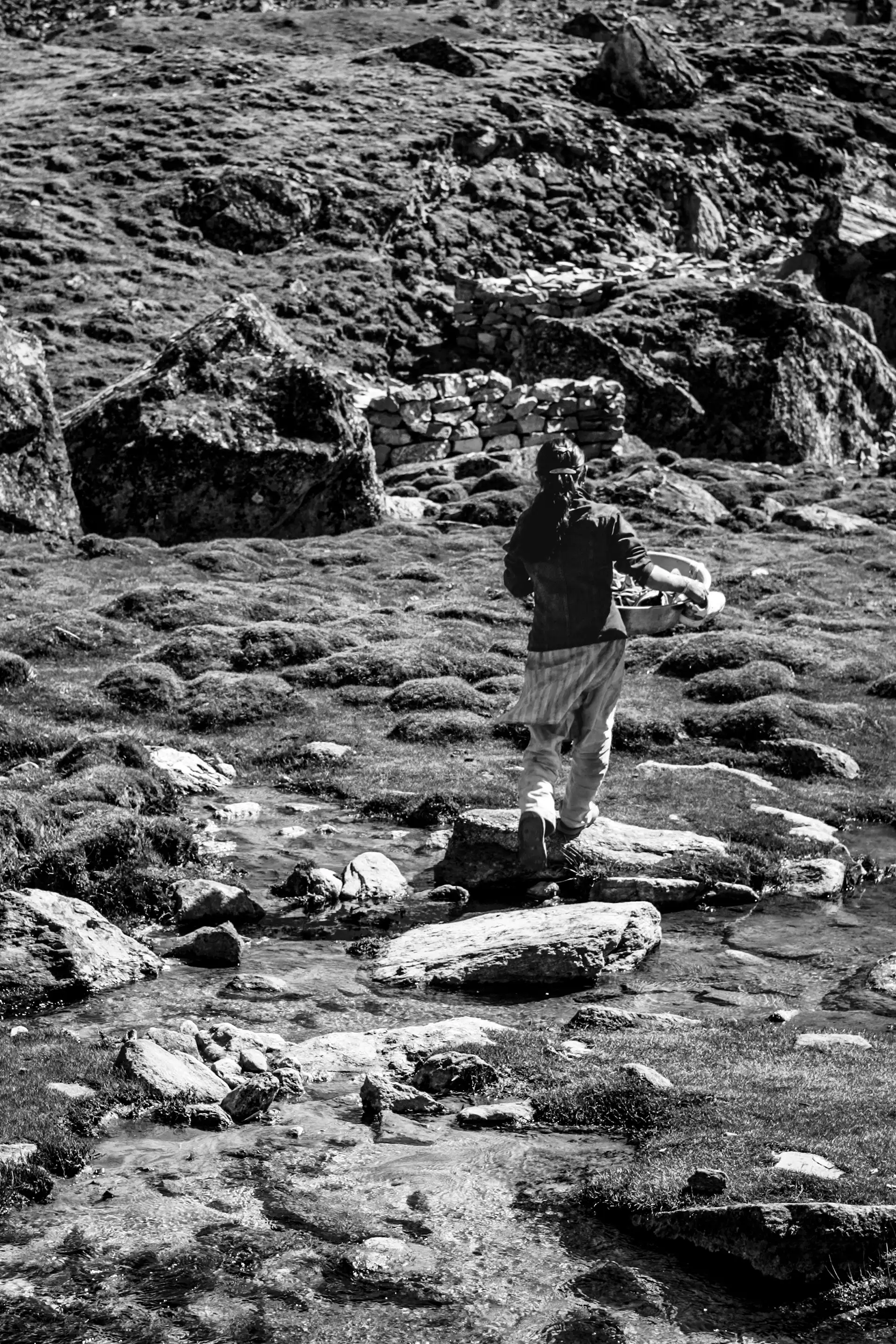 Gonçalo Cunha de Sá