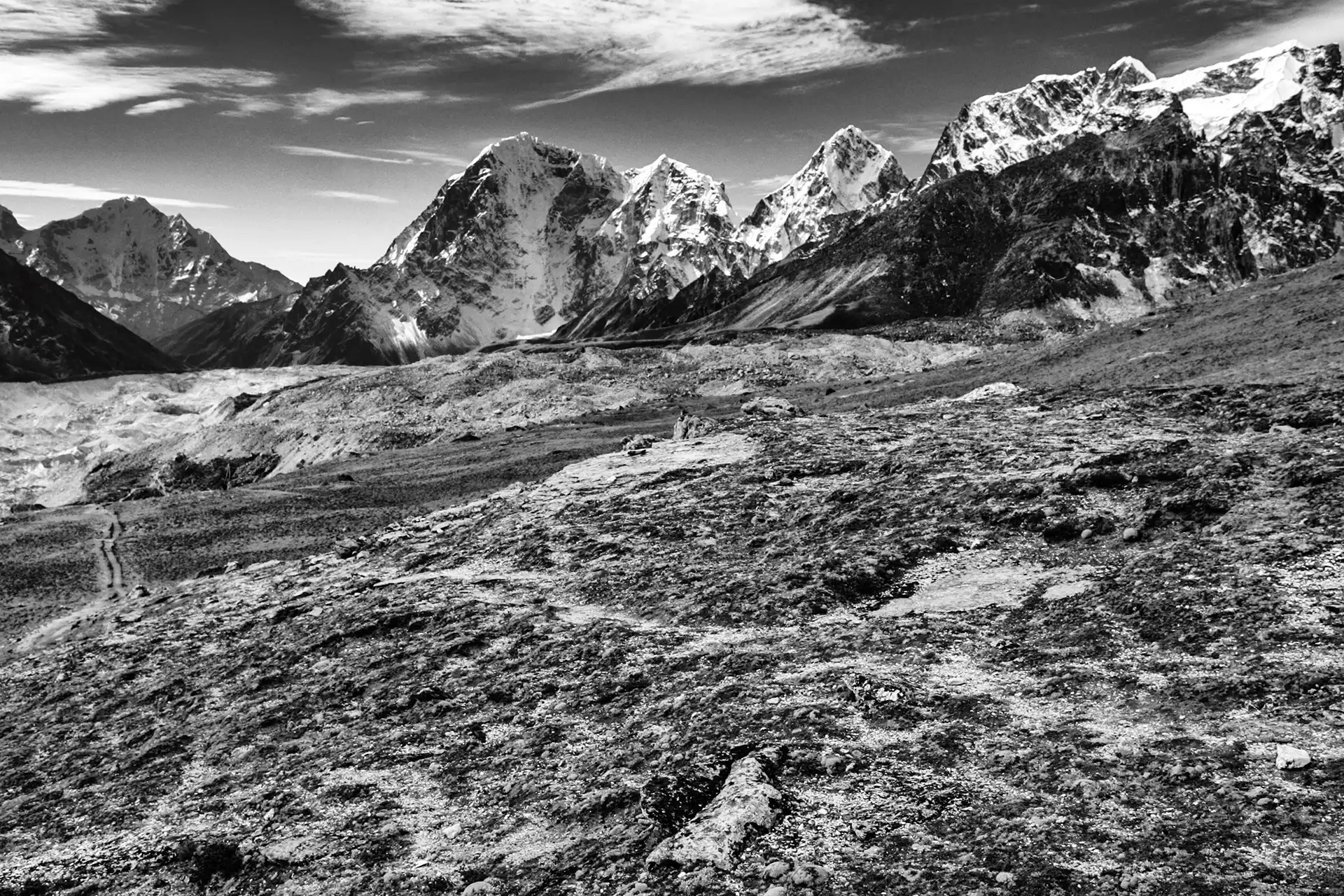 Gonçalo Cunha de Sá