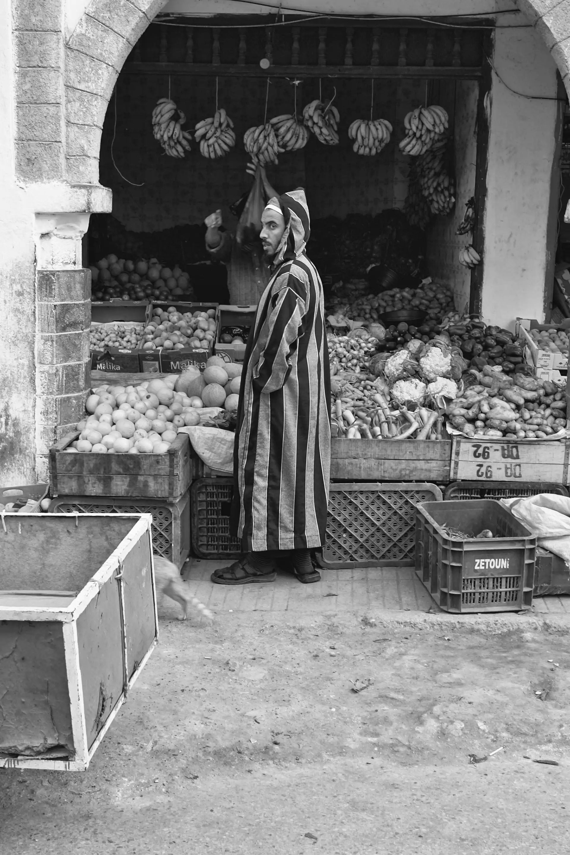 Gonçalo Cunha de Sá