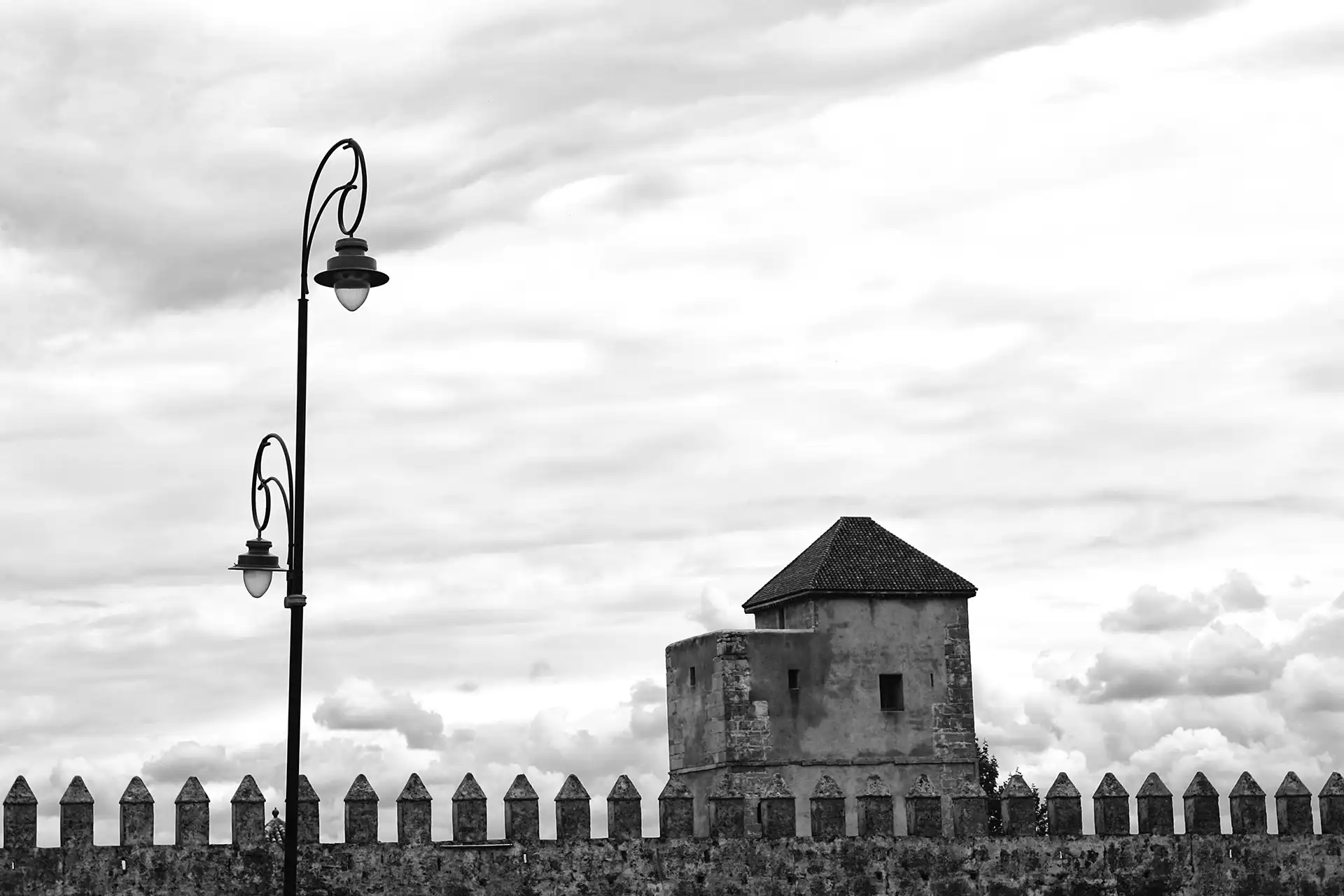 Gonçalo Cunha de Sá