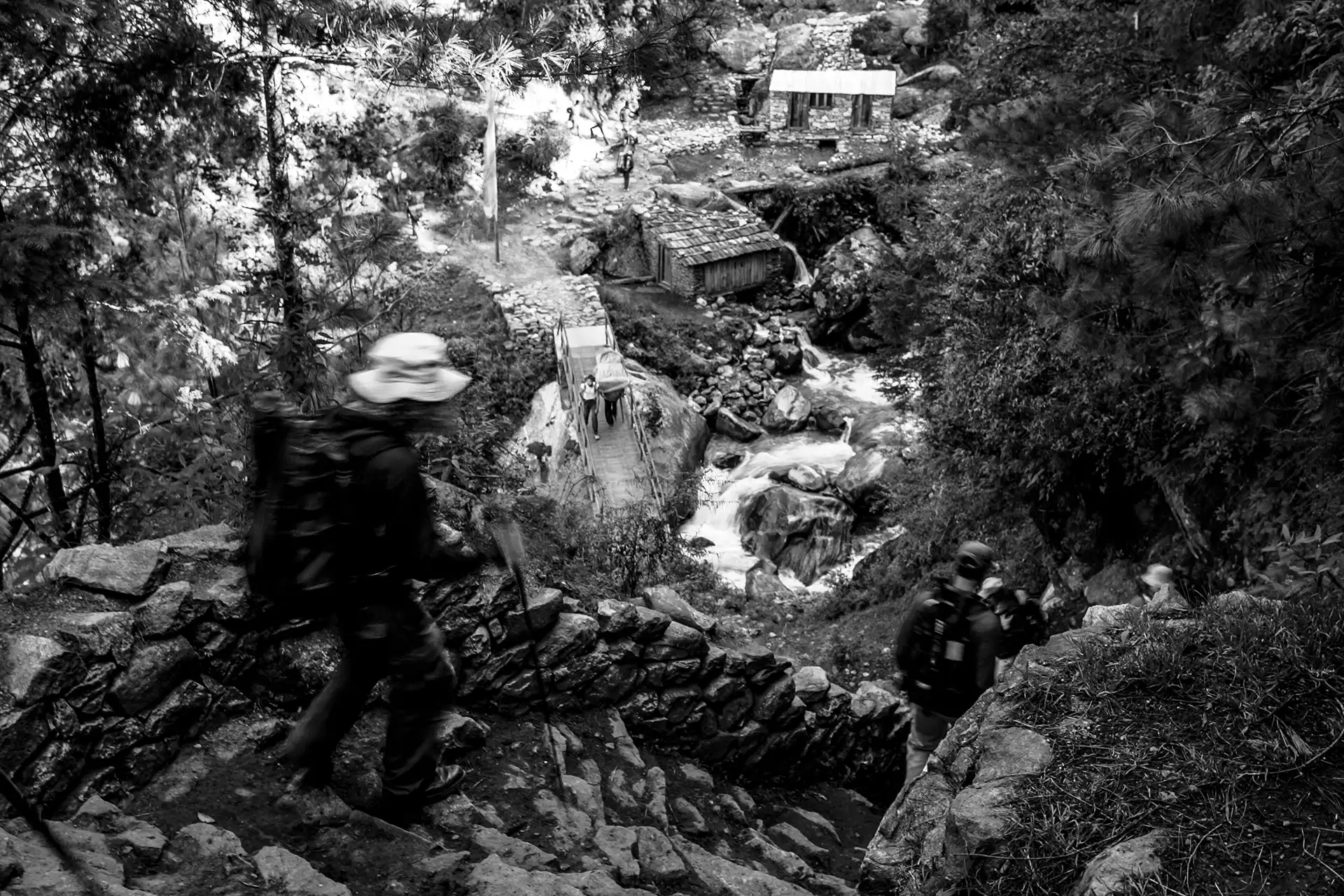 Gonçalo Cunha de Sá