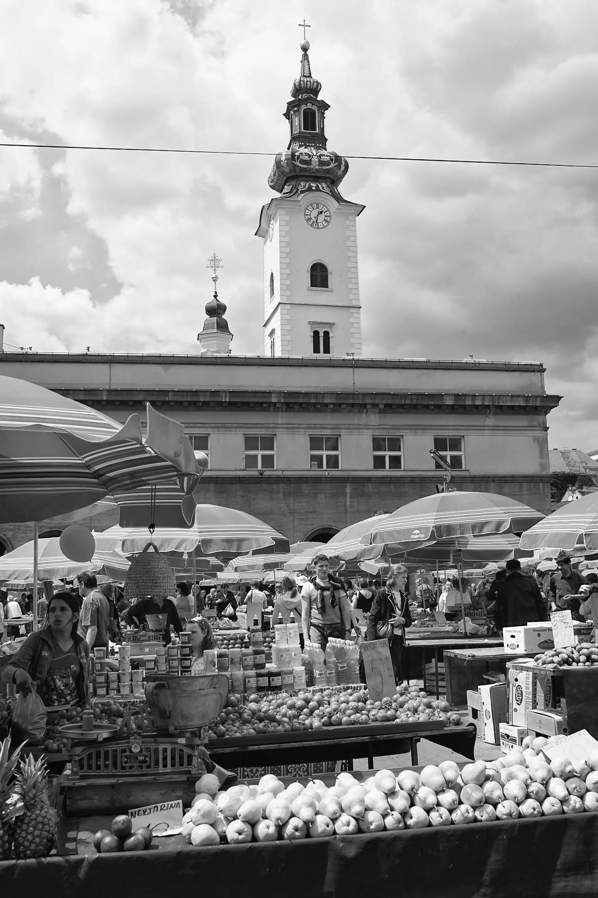 Gonçalo Cunha de Sá