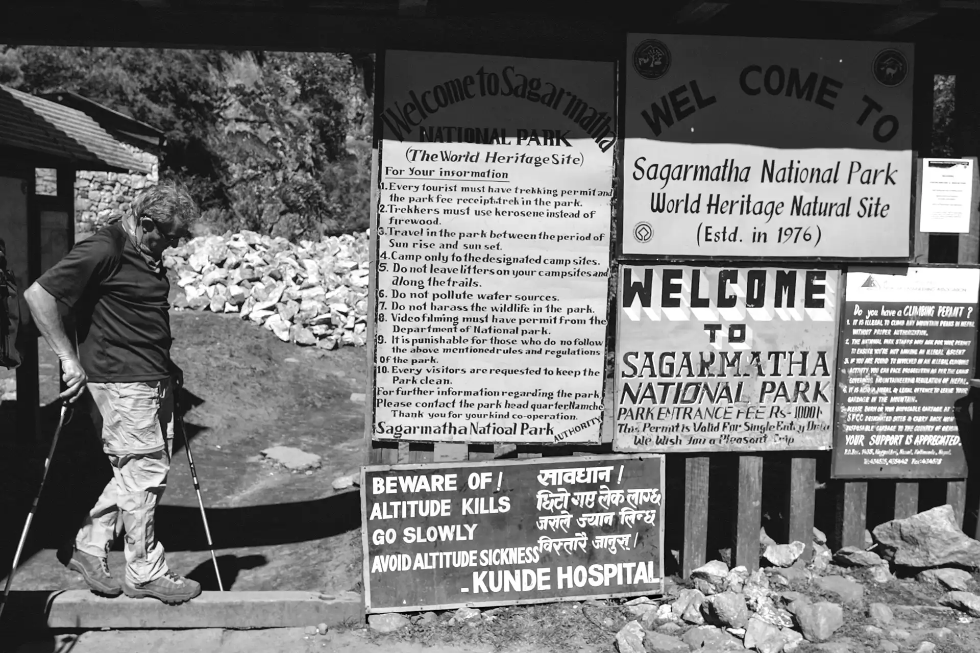 Gonçalo Cunha de Sá