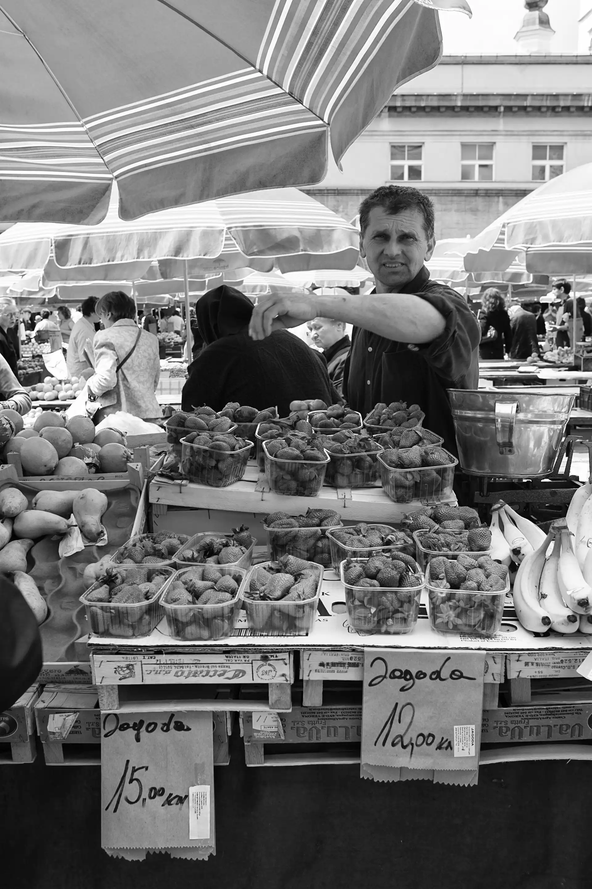 Gonçalo Cunha de Sá