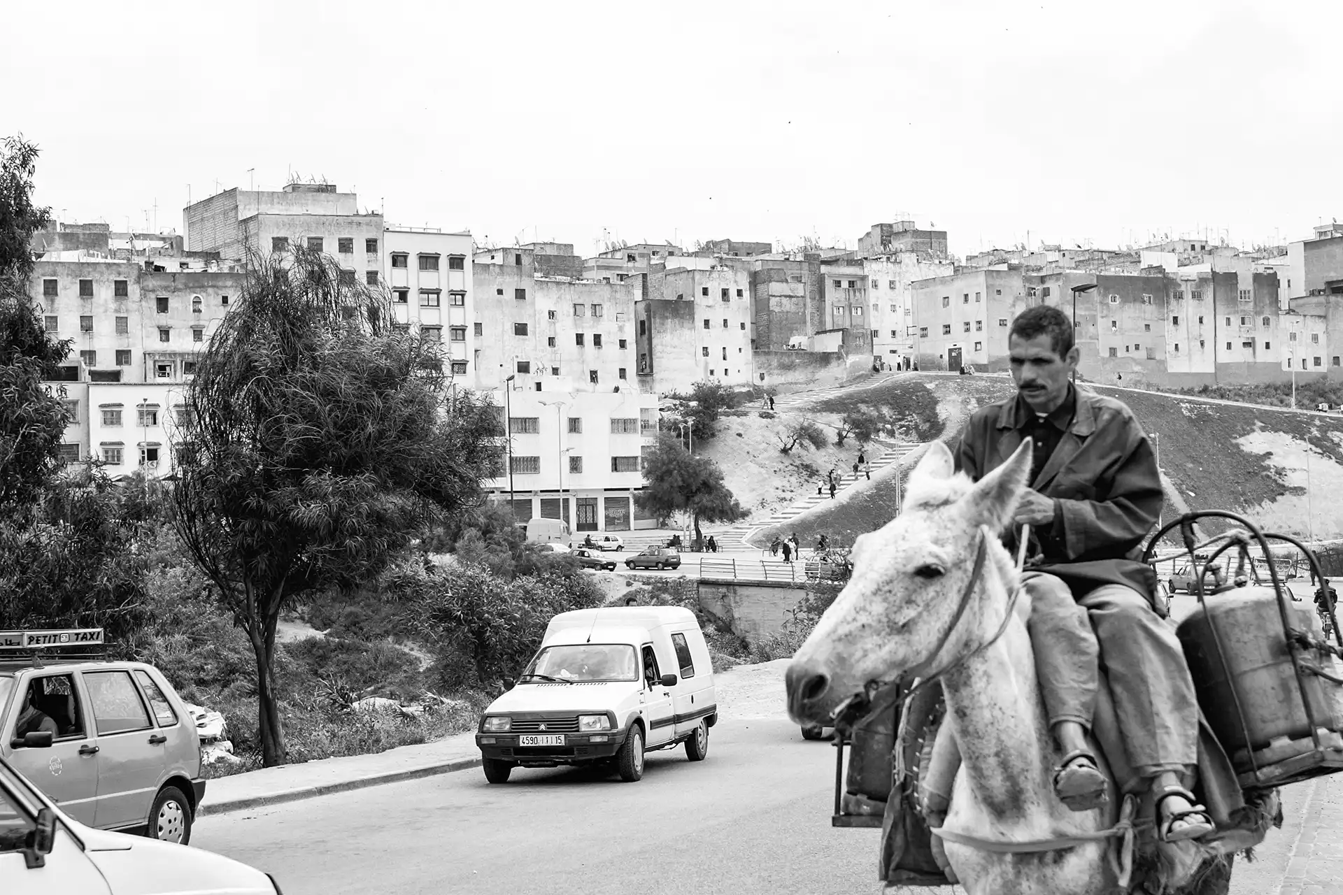 Gonçalo Cunha de Sá
