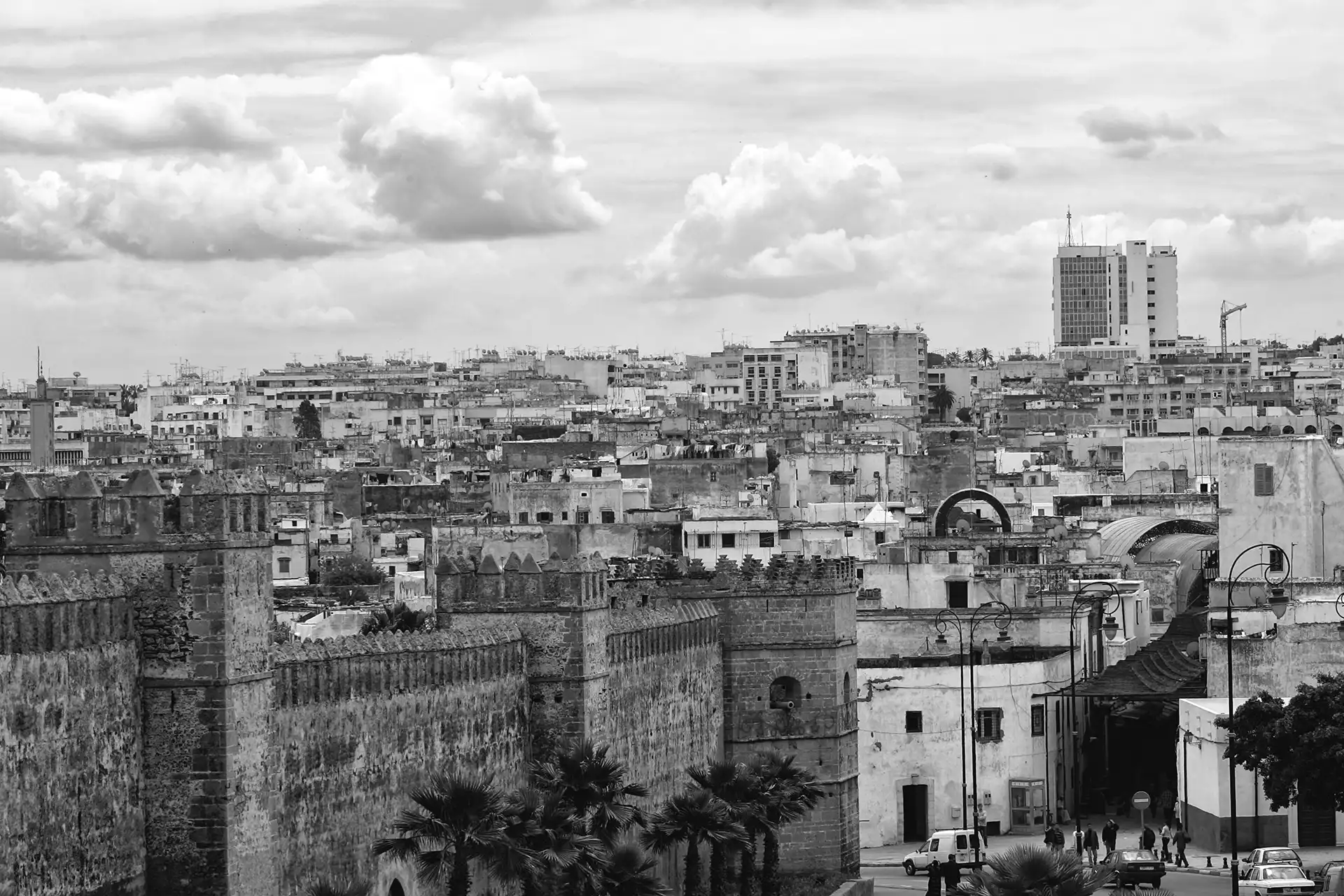 Gonçalo Cunha de Sá