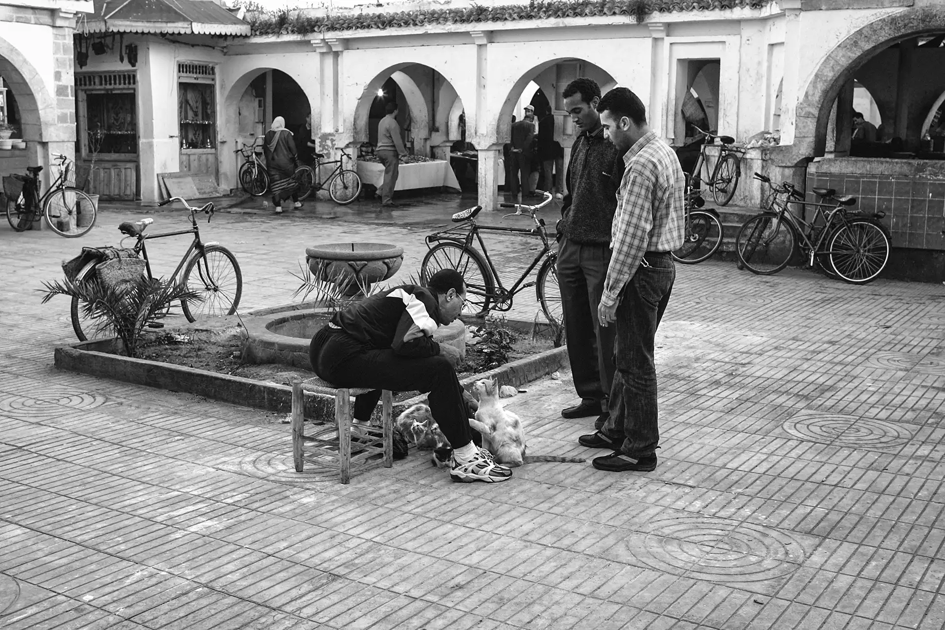 Gonçalo Cunha de Sá