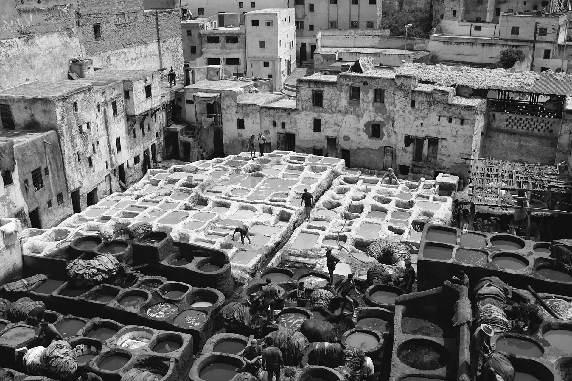 Gonçalo Cunha de Sá