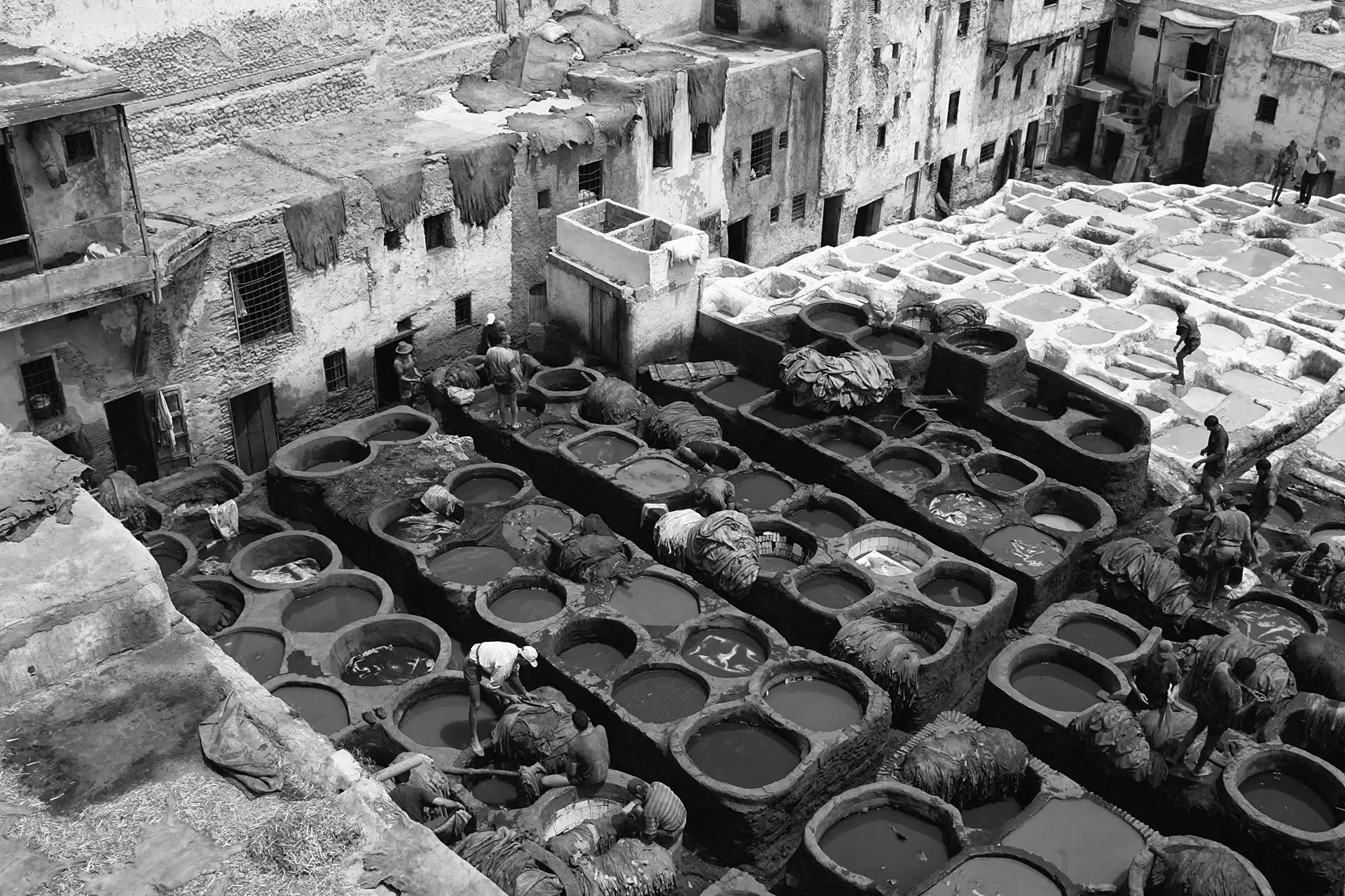 Gonçalo Cunha de Sá