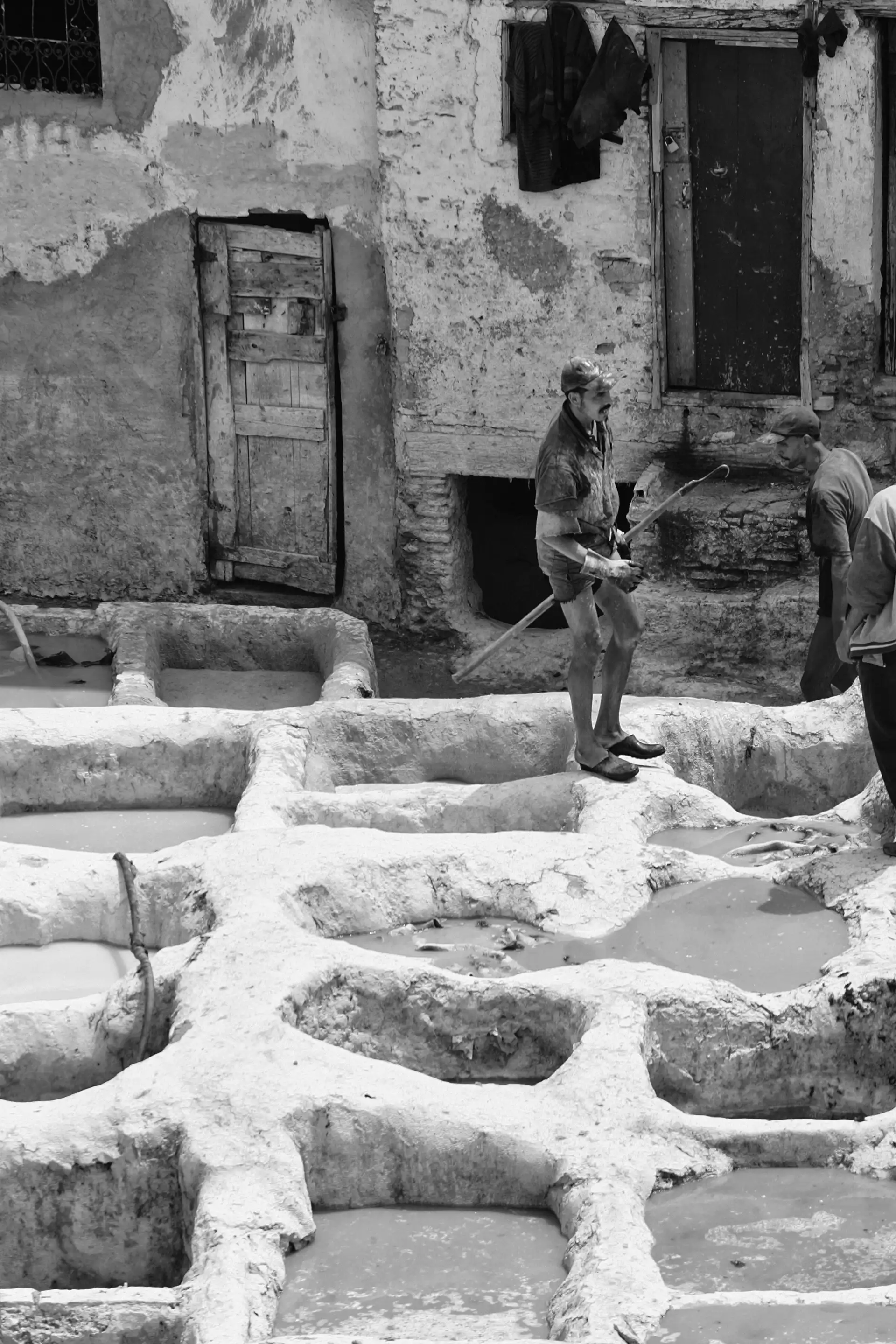 Gonçalo Cunha de Sá