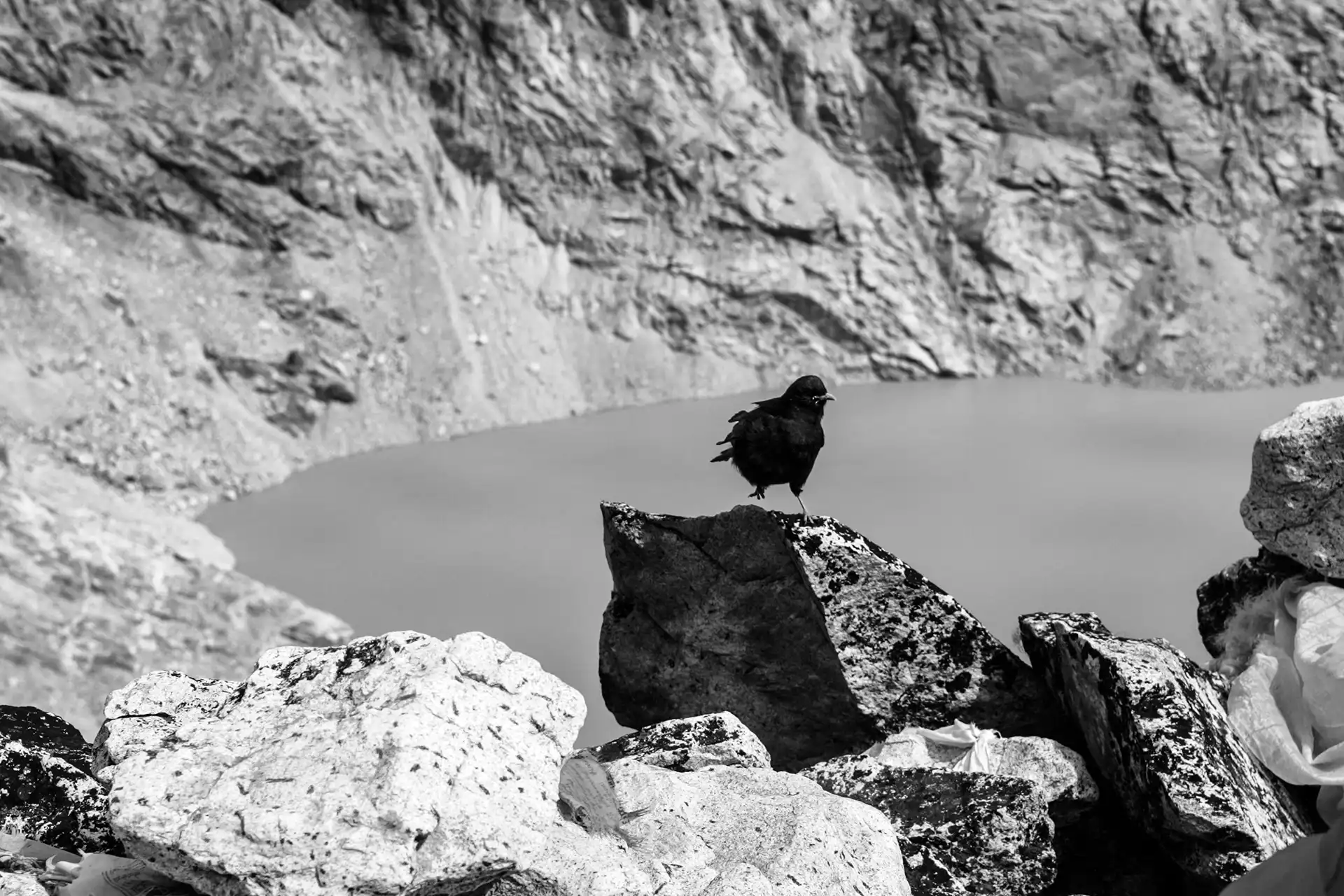 Gonçalo Cunha de Sá