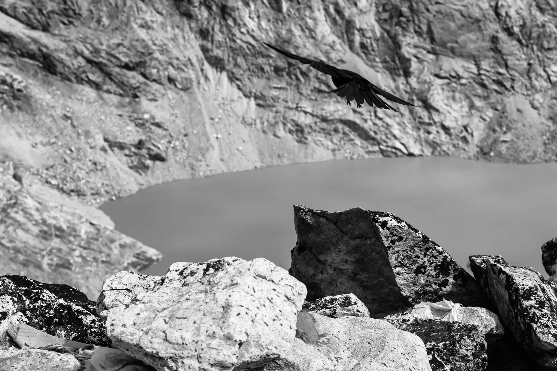 Gonçalo Cunha de Sá