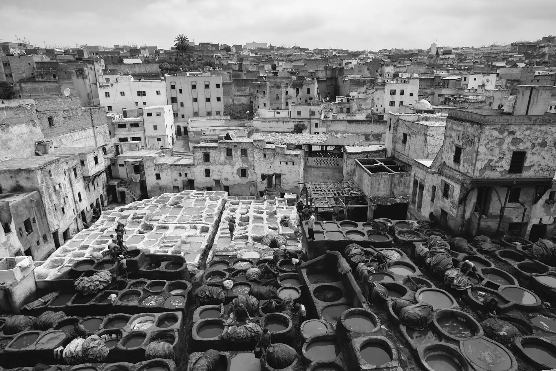 Gonçalo Cunha de Sá