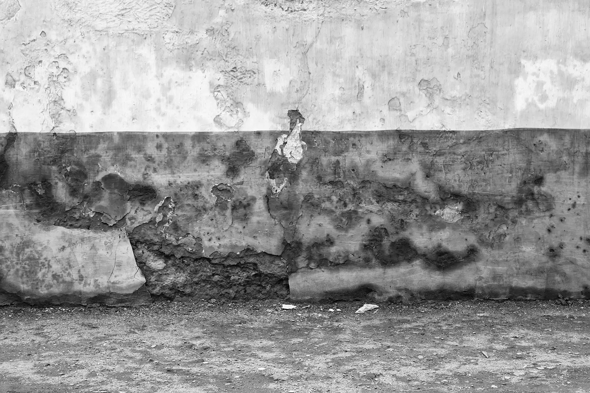 Gonçalo Cunha de Sá