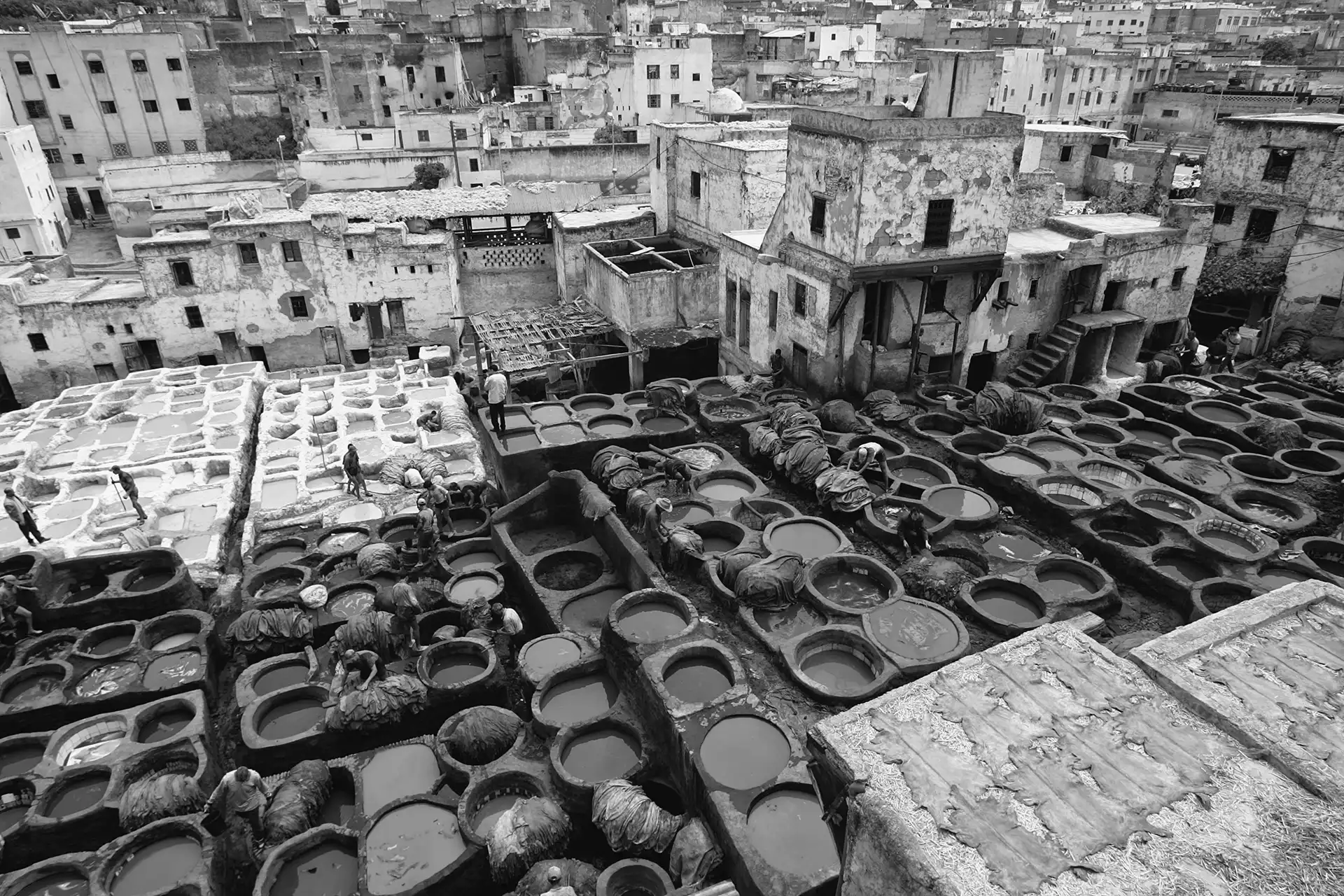 Gonçalo Cunha de Sá