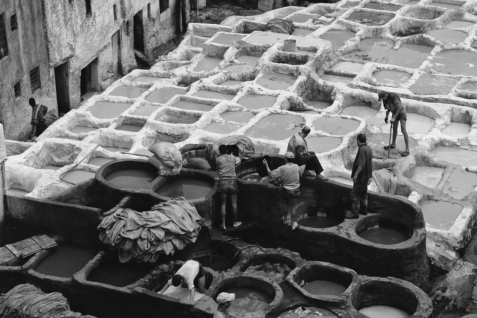 Gonçalo Cunha de Sá