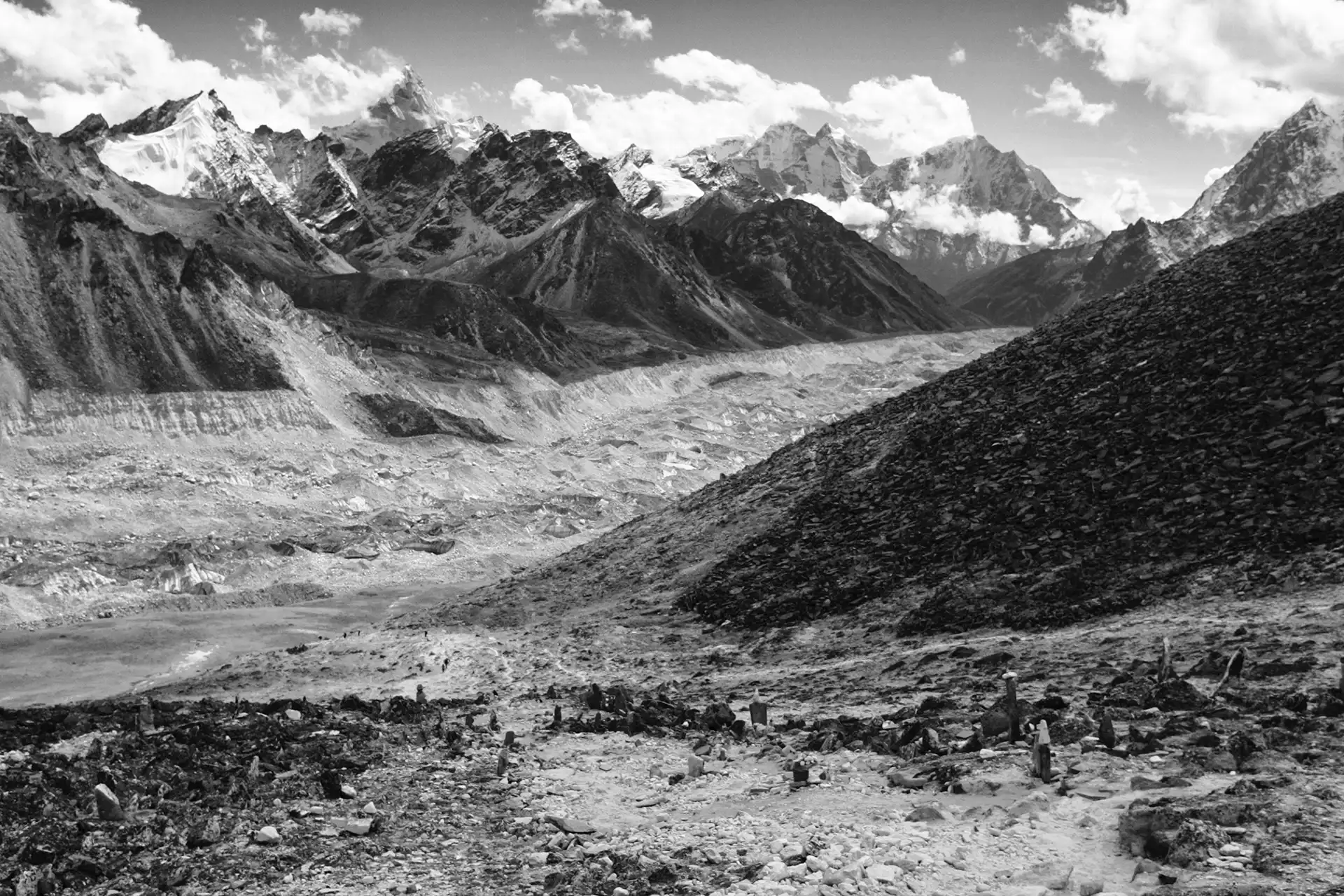 Gonçalo Cunha de Sá