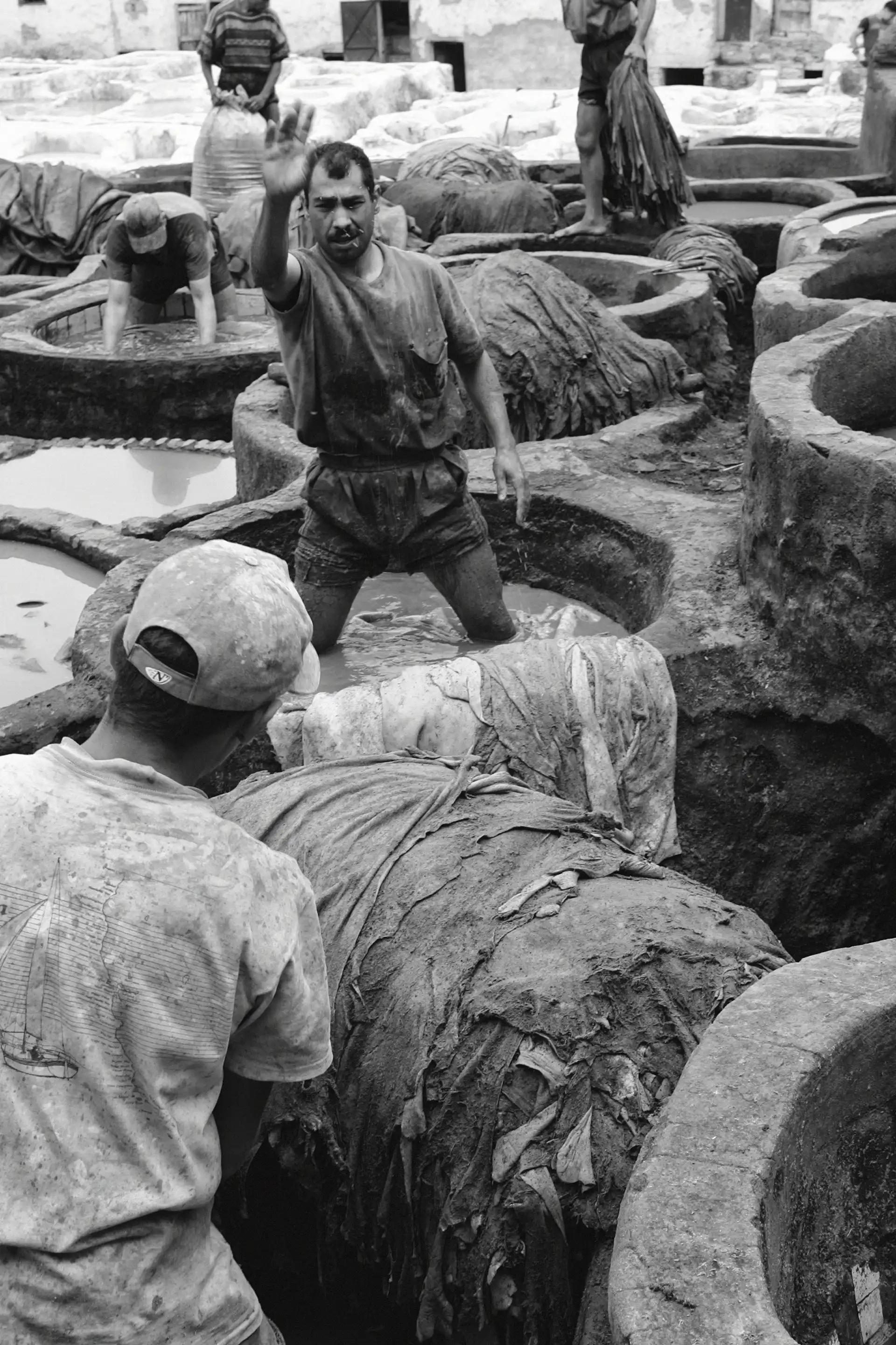 Gonçalo Cunha de Sá