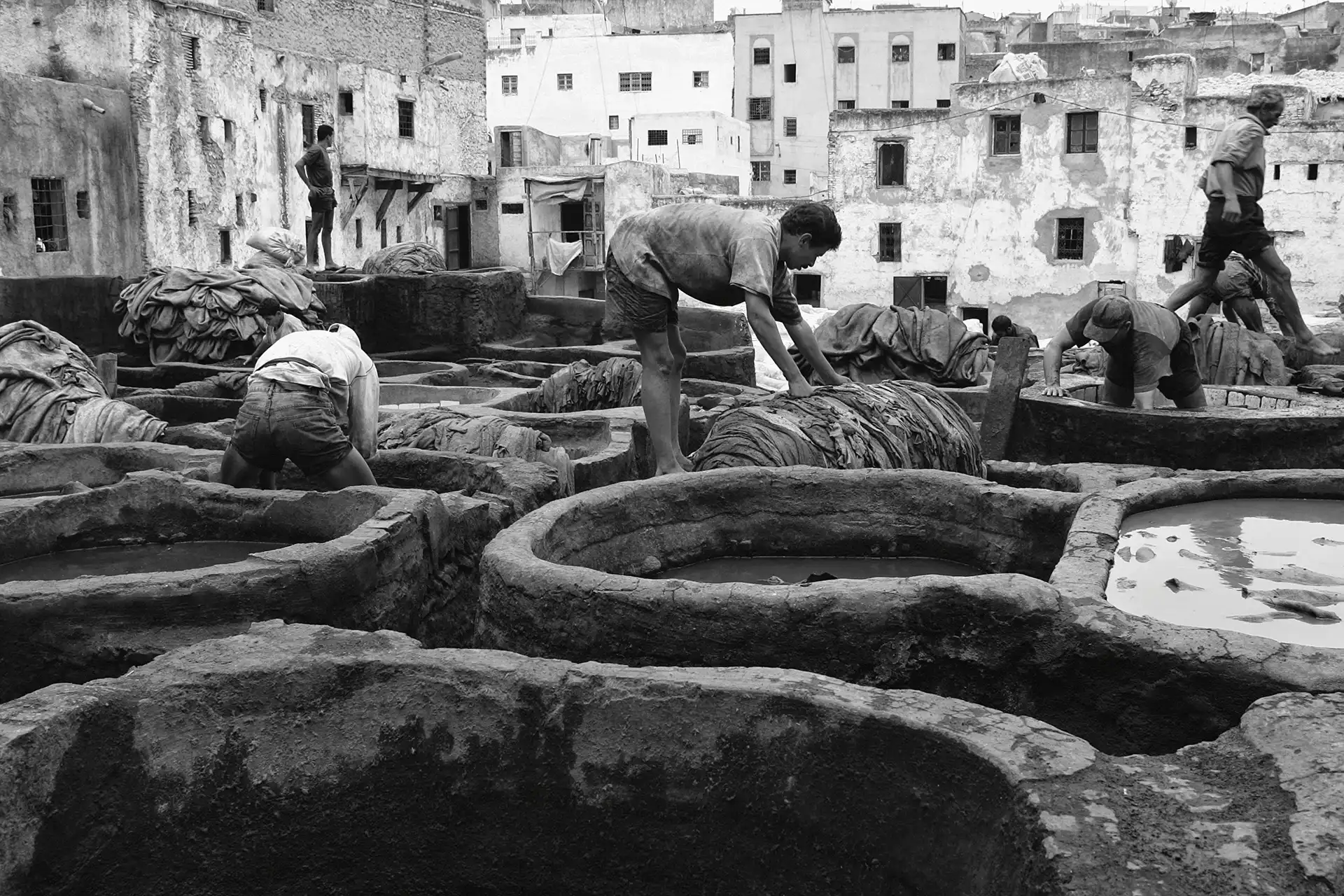 Gonçalo Cunha de Sá