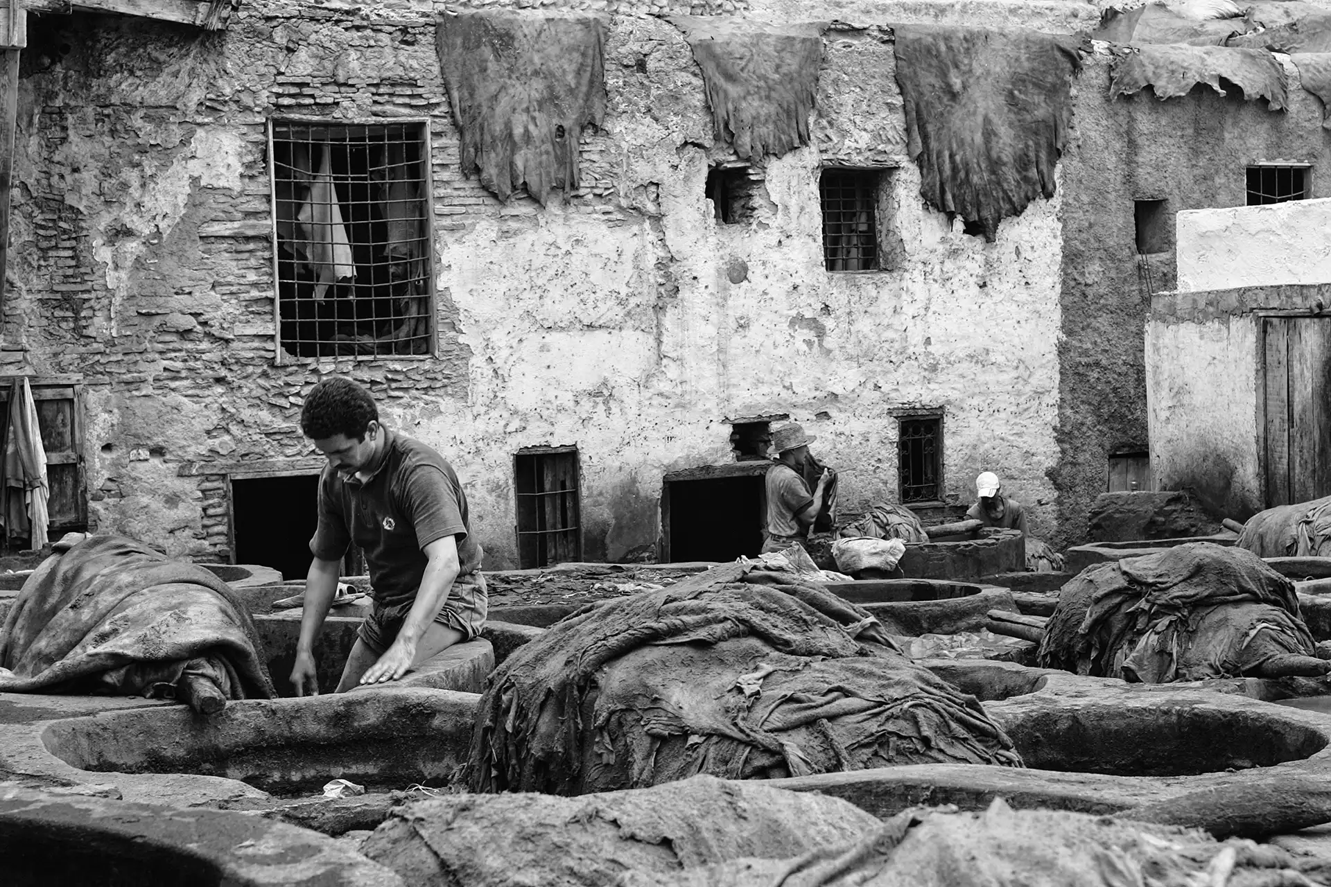 Gonçalo Cunha de Sá