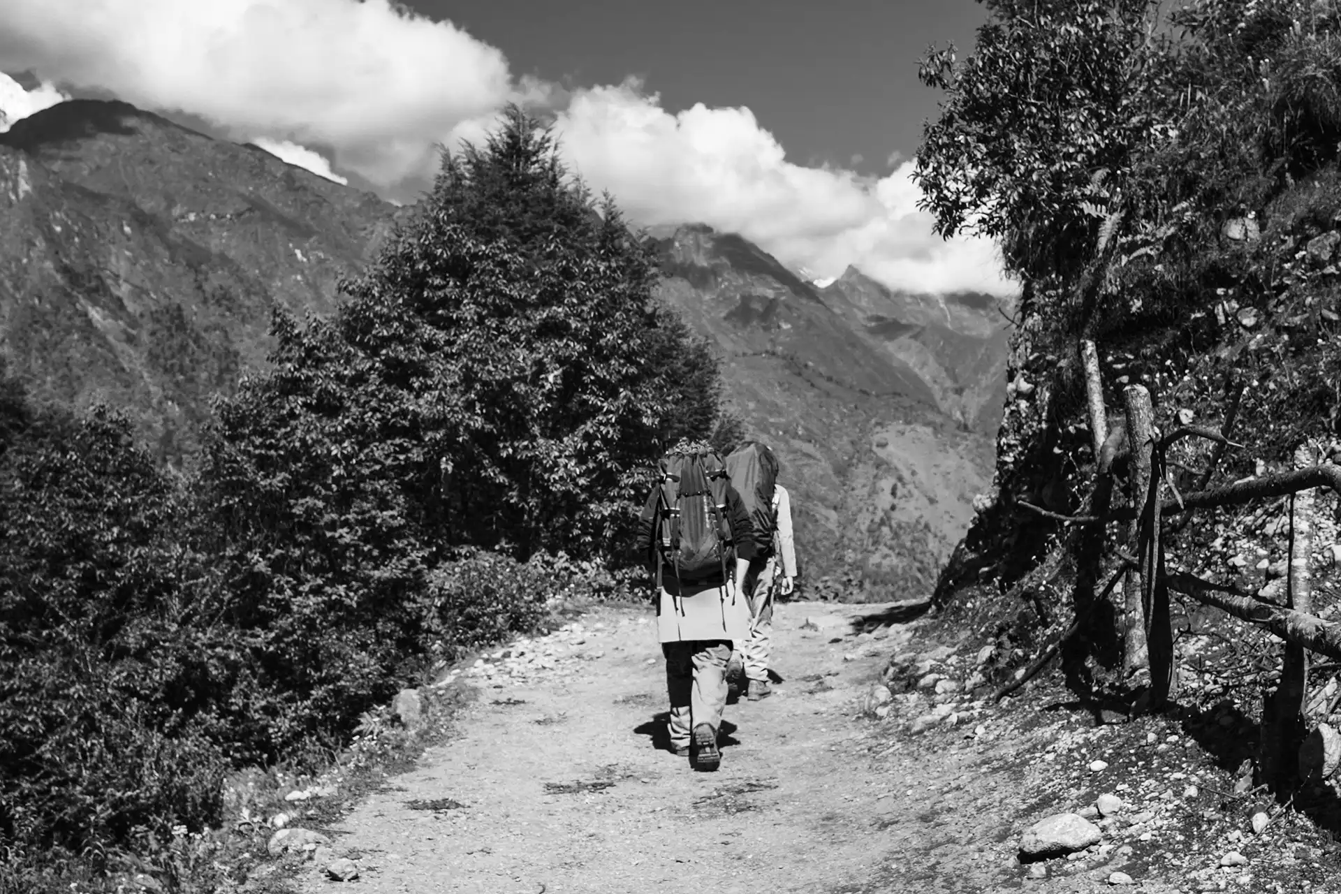 Gonçalo Cunha de Sá