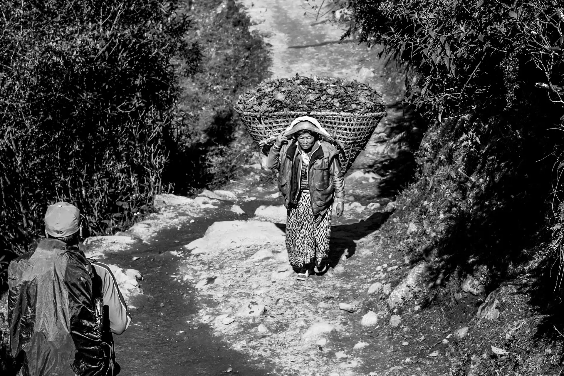 Gonçalo Cunha de Sá