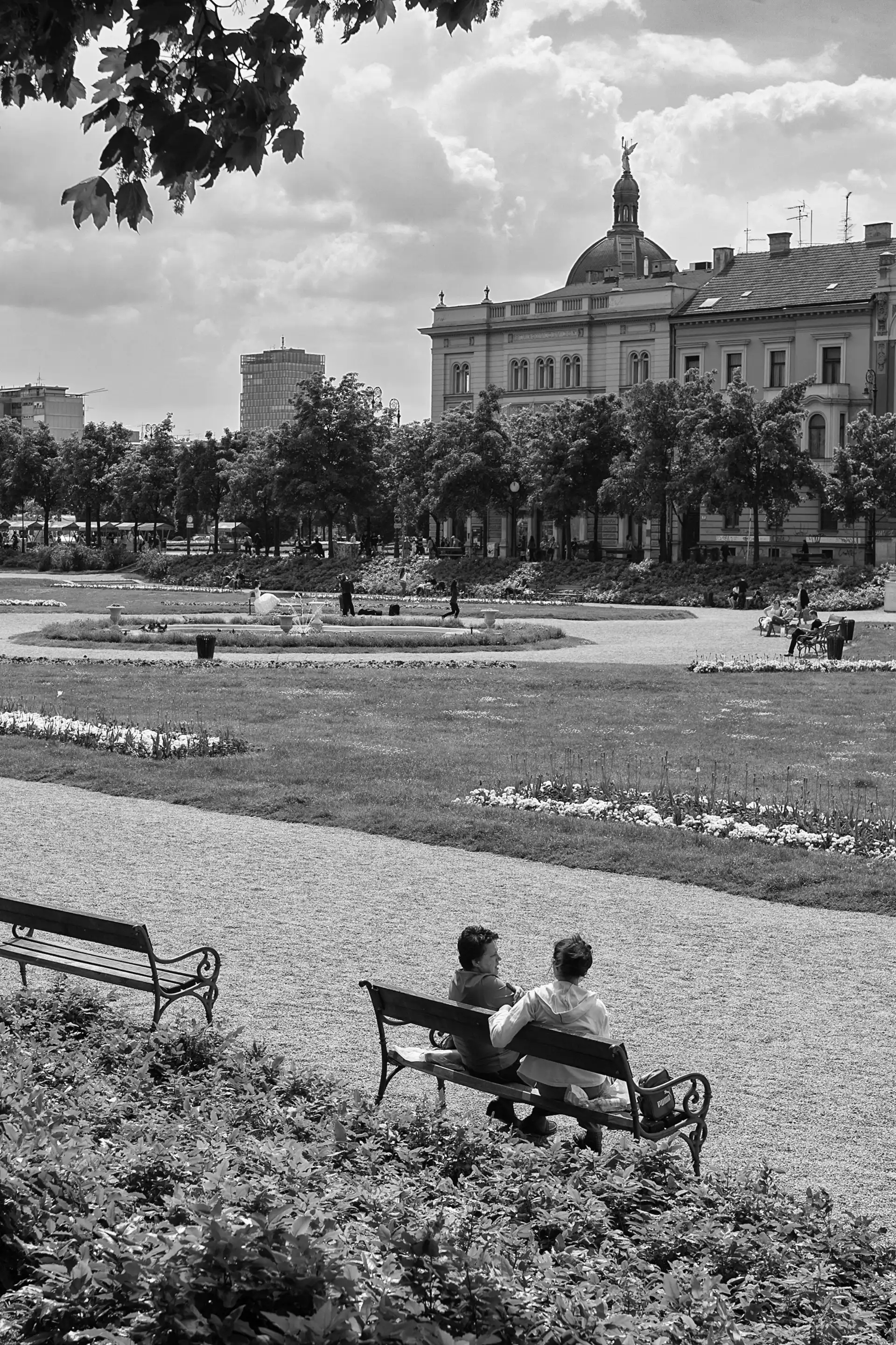 Gonçalo Cunha de Sá