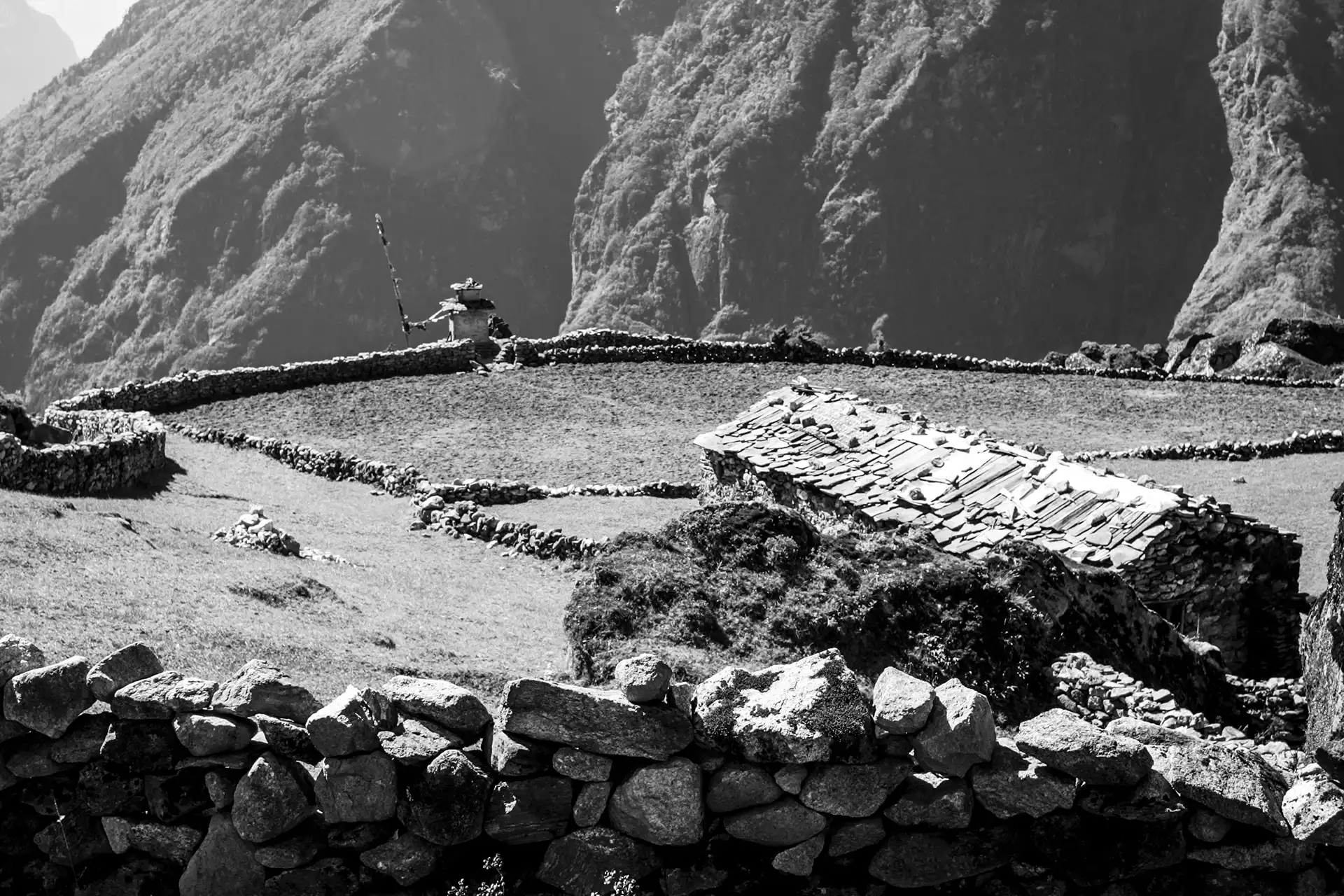 Gonçalo Cunha de Sá
