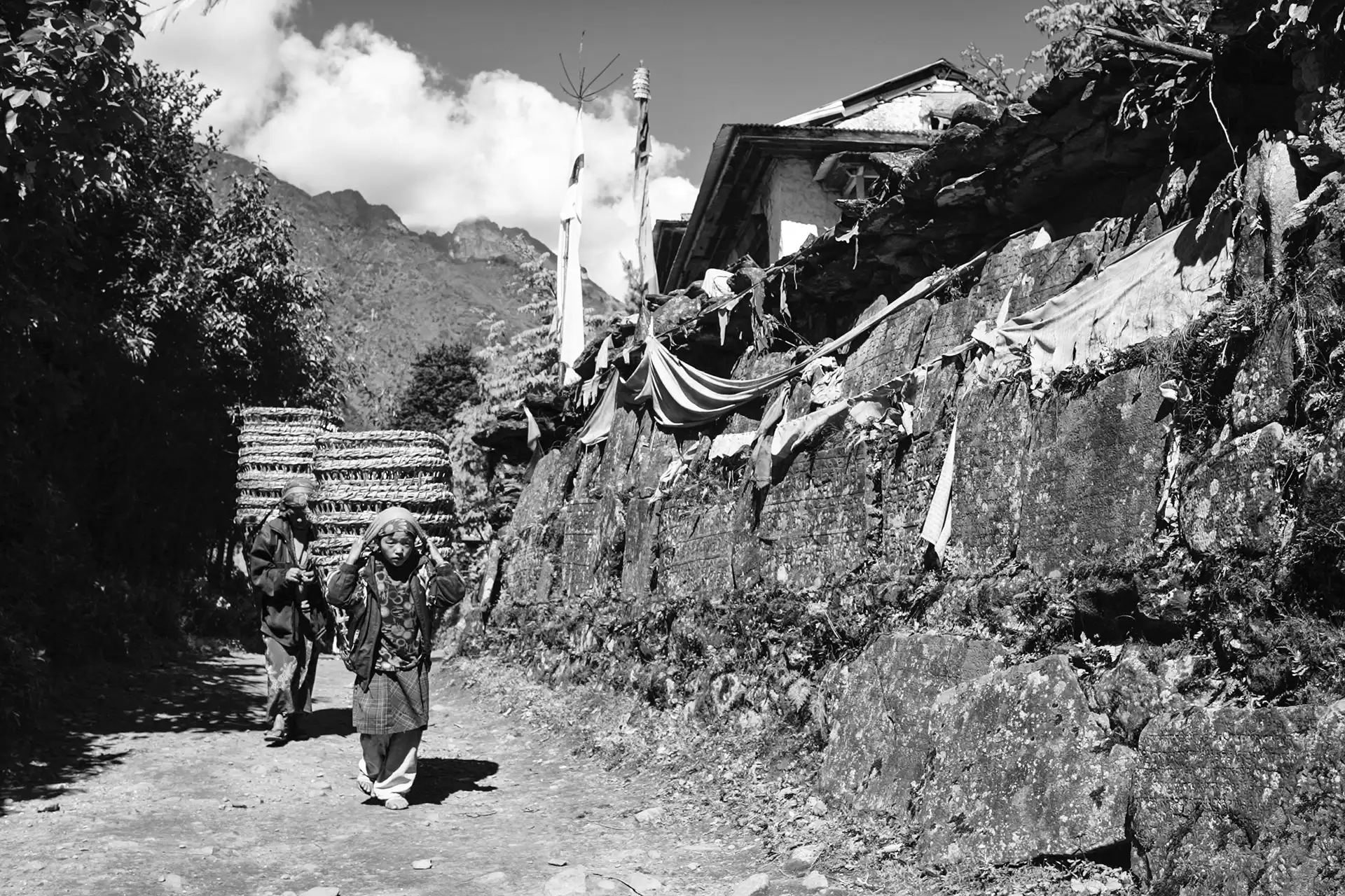 Gonçalo Cunha de Sá