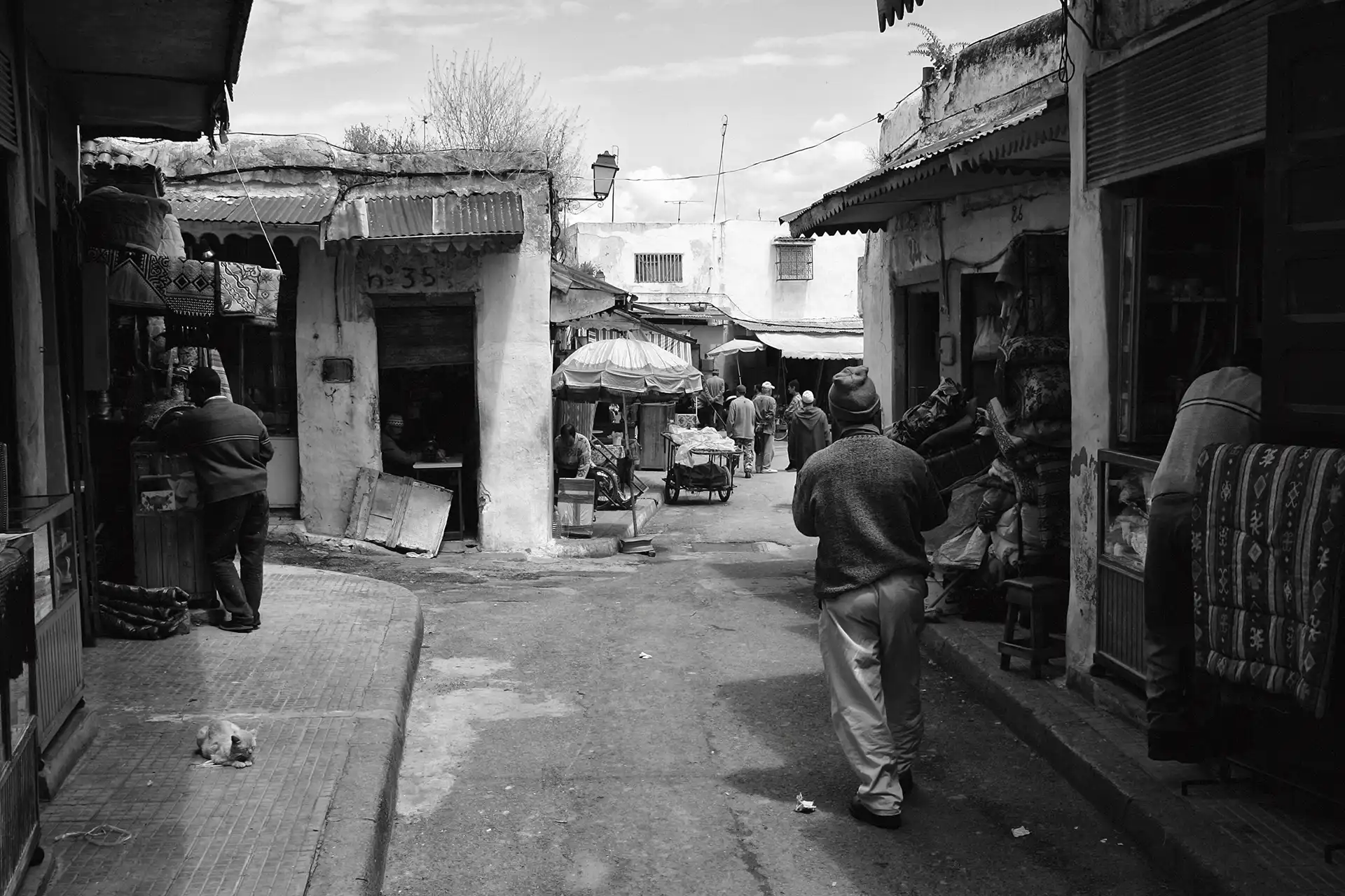 Gonçalo Cunha de Sá