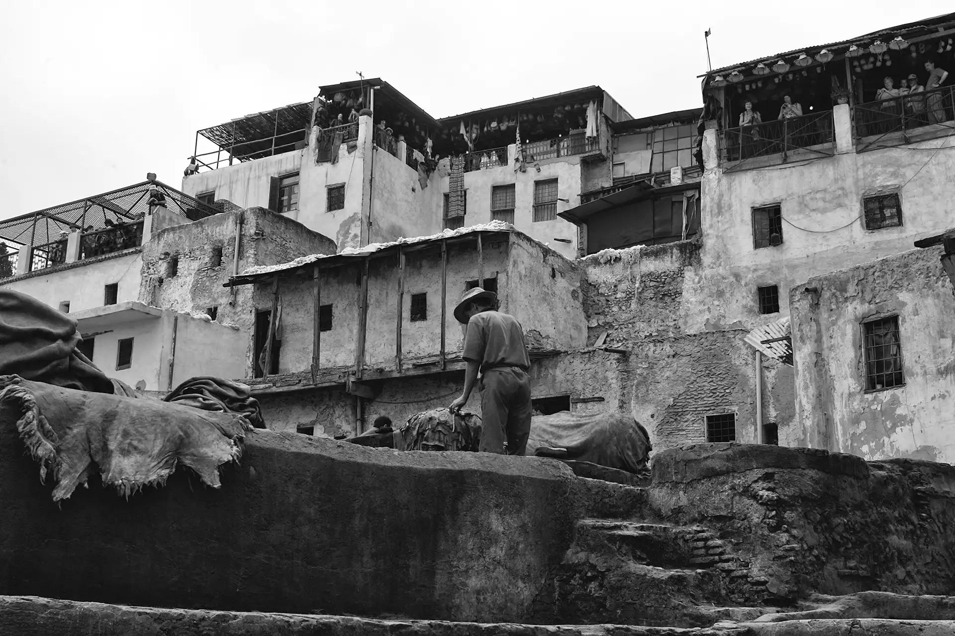 Gonçalo Cunha de Sá