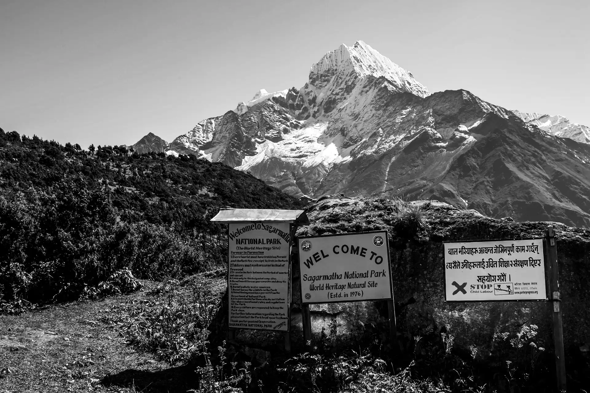 Gonçalo Cunha de Sá