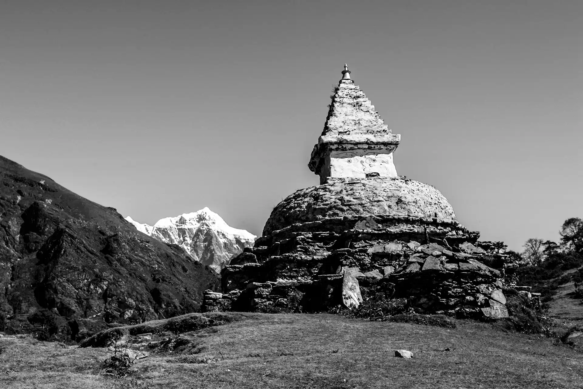 Gonçalo Cunha de Sá
