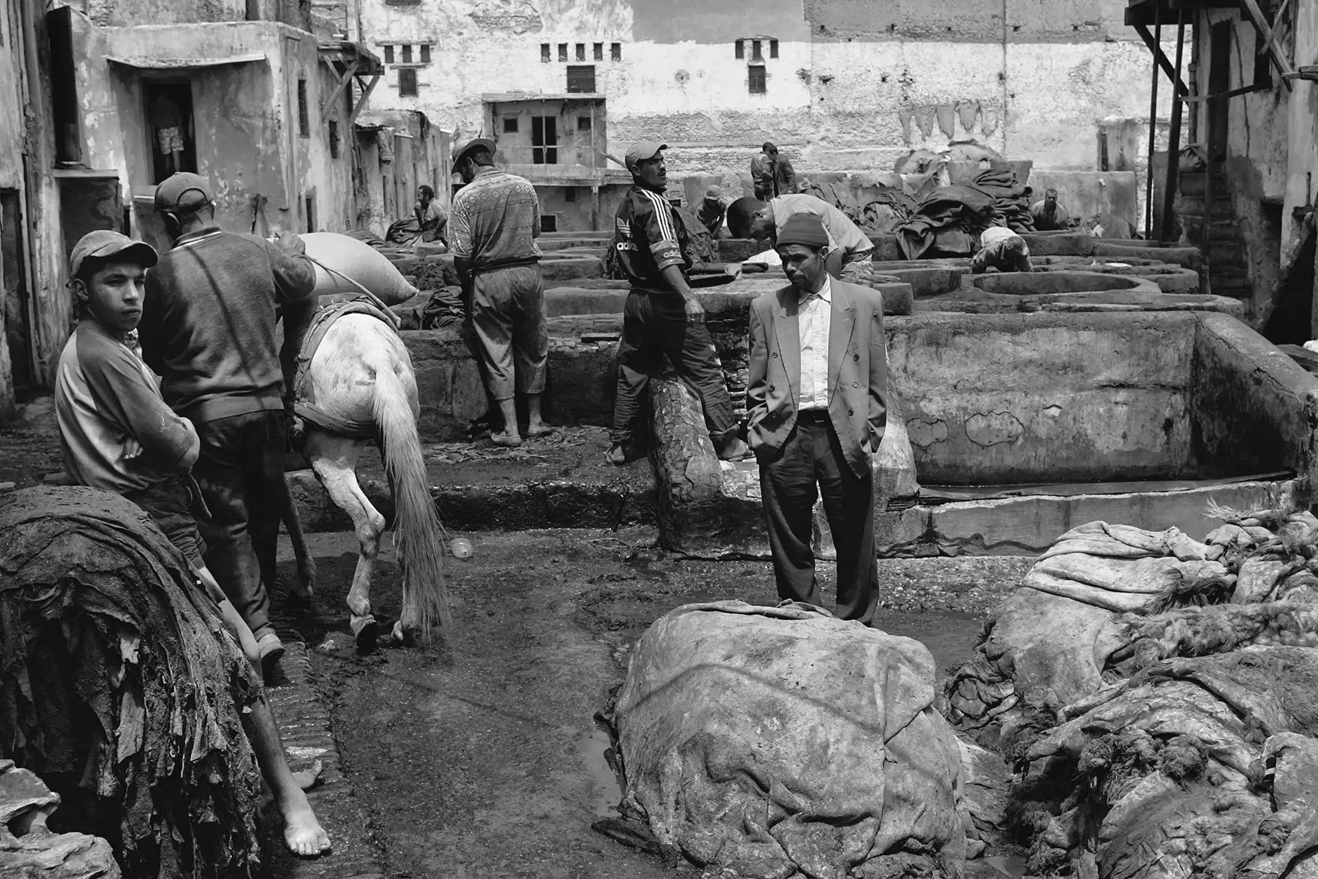 Gonçalo Cunha de Sá