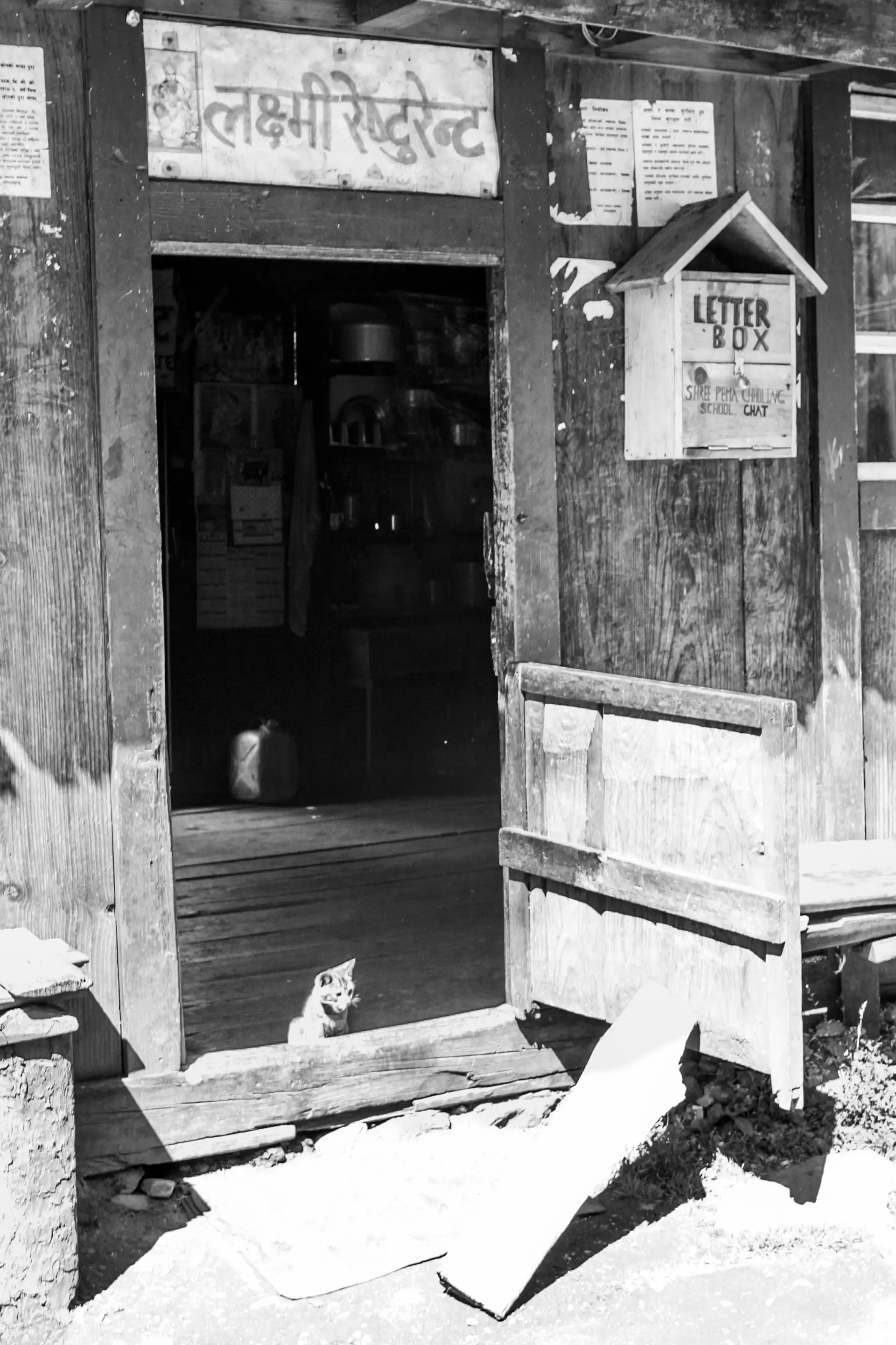 Gonçalo Cunha de Sá