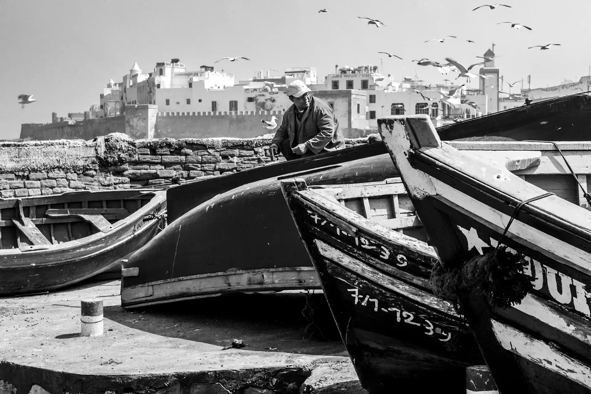 Gonçalo Cunha de Sá