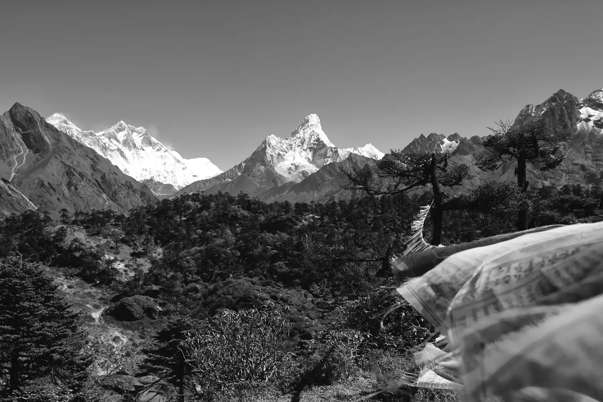 Gonçalo Cunha de Sá