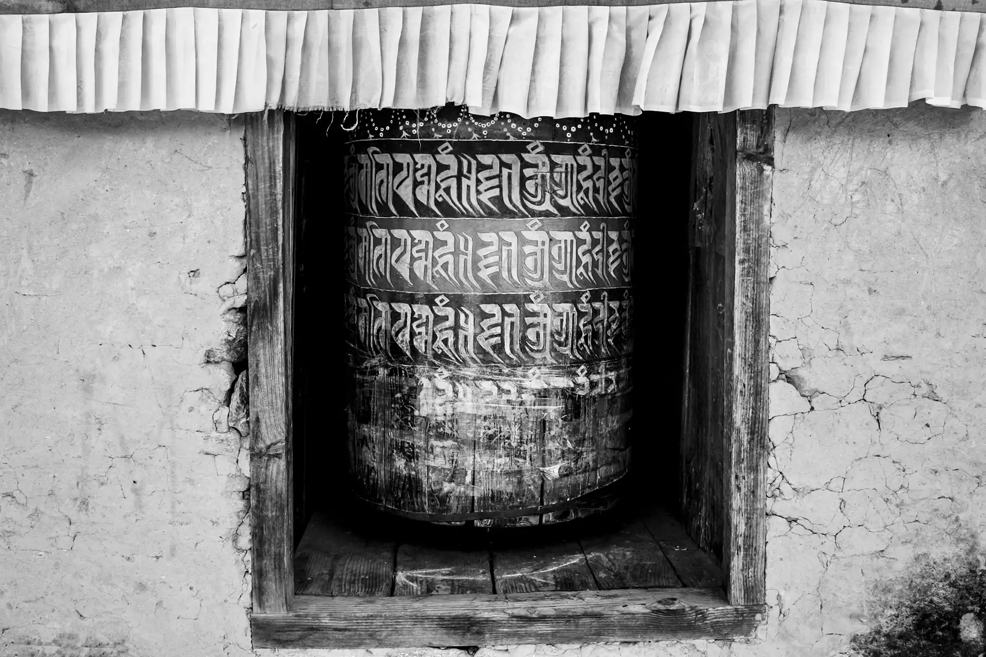 Gonçalo Cunha de Sá