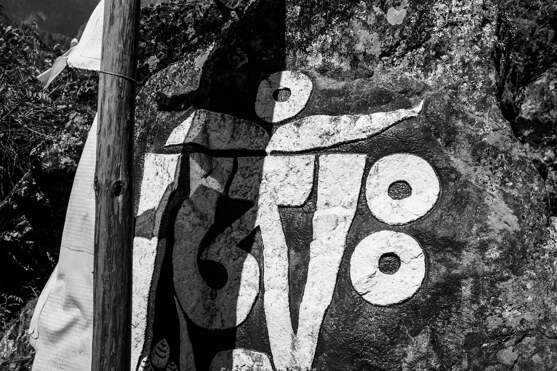 Gonçalo Cunha de Sá