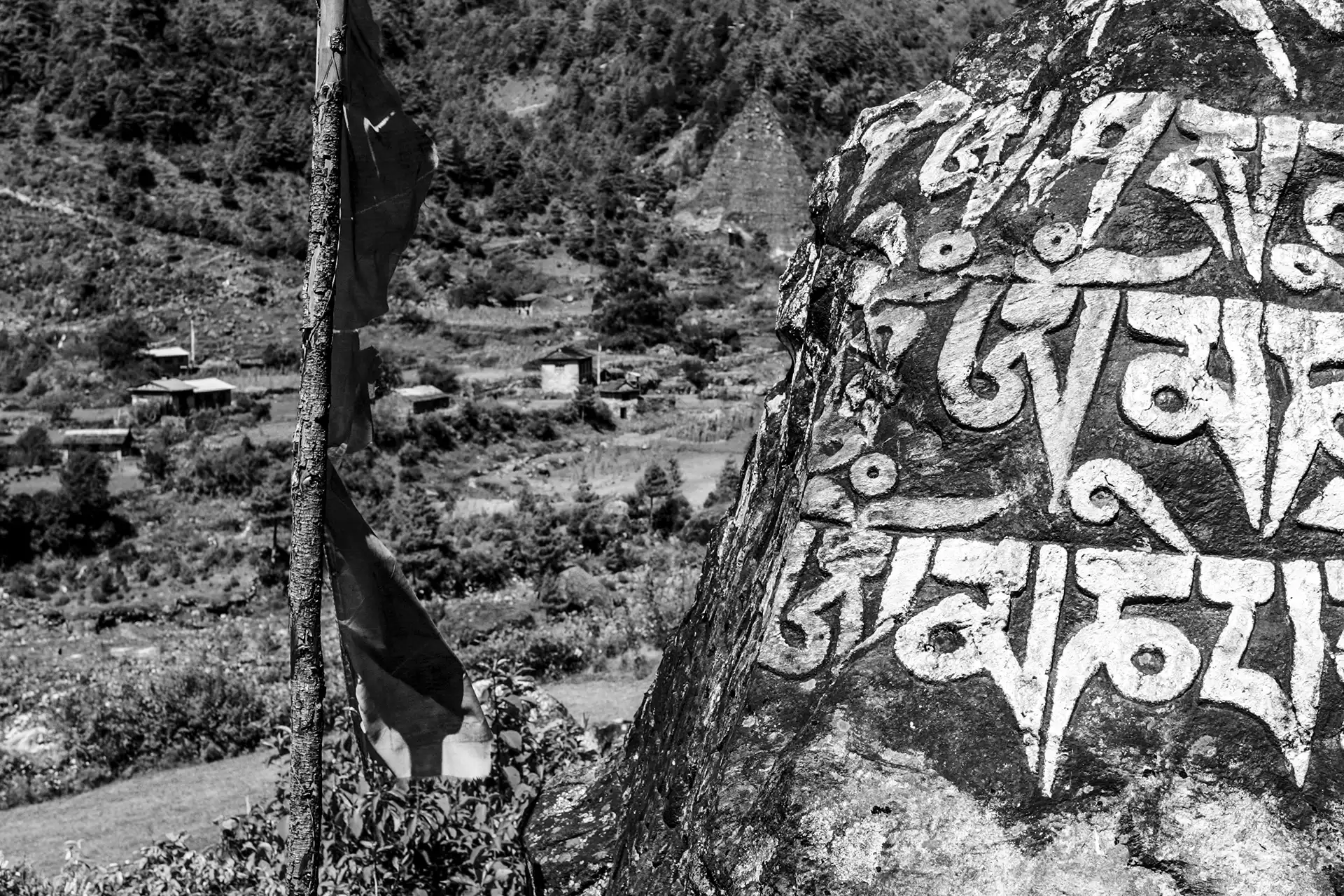 Gonçalo Cunha de Sá