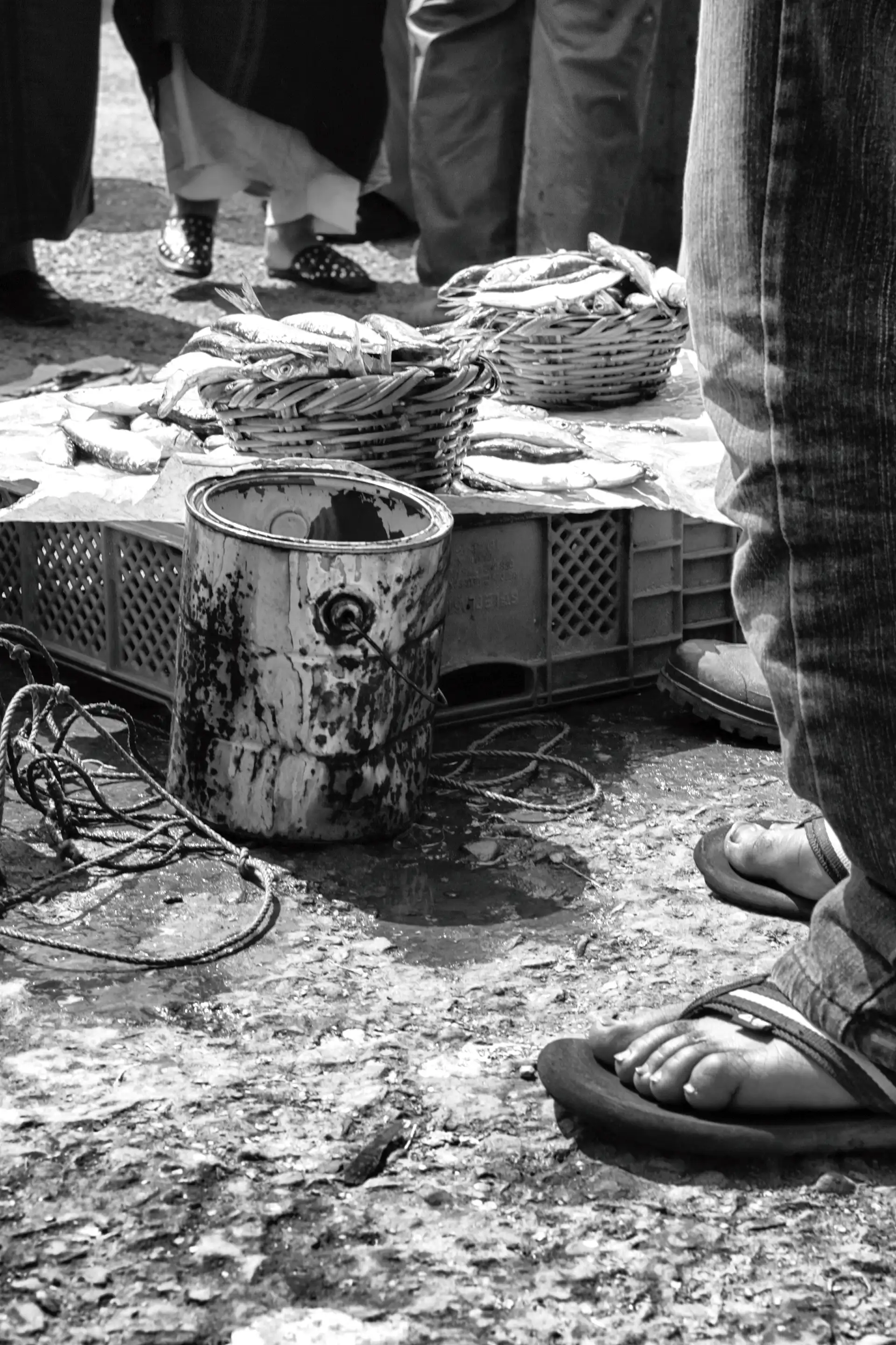 Gonçalo Cunha de Sá