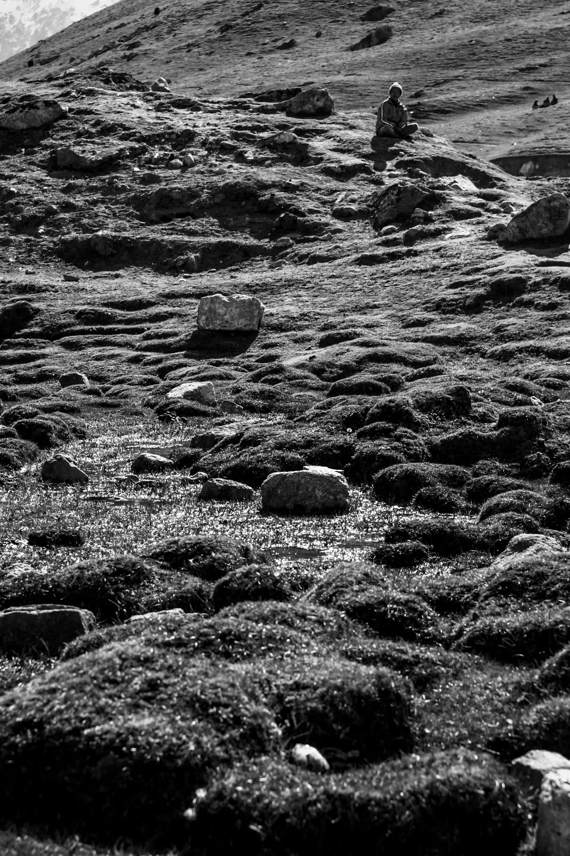 Gonçalo Cunha de Sá