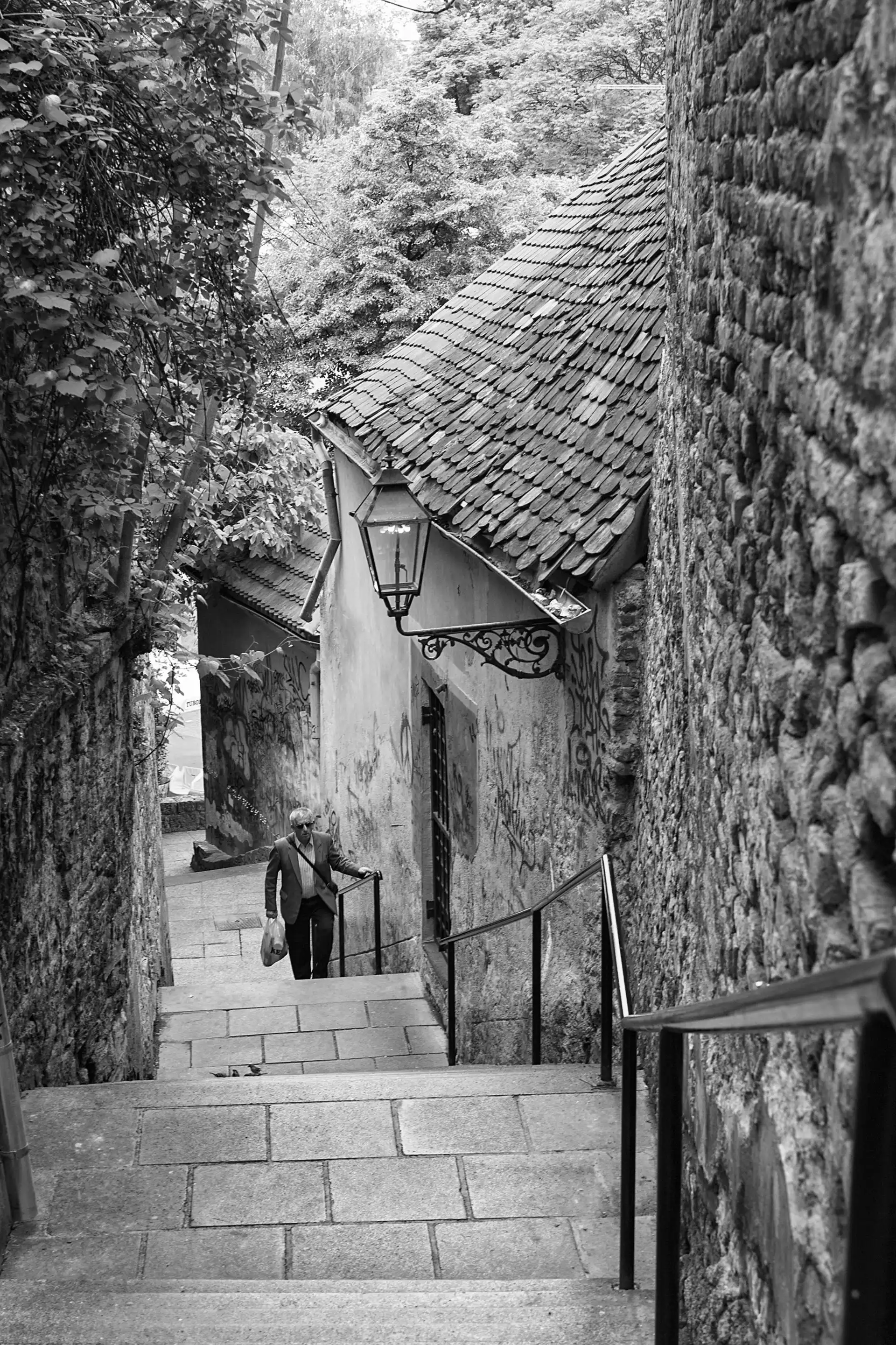 Gonçalo Cunha de Sá