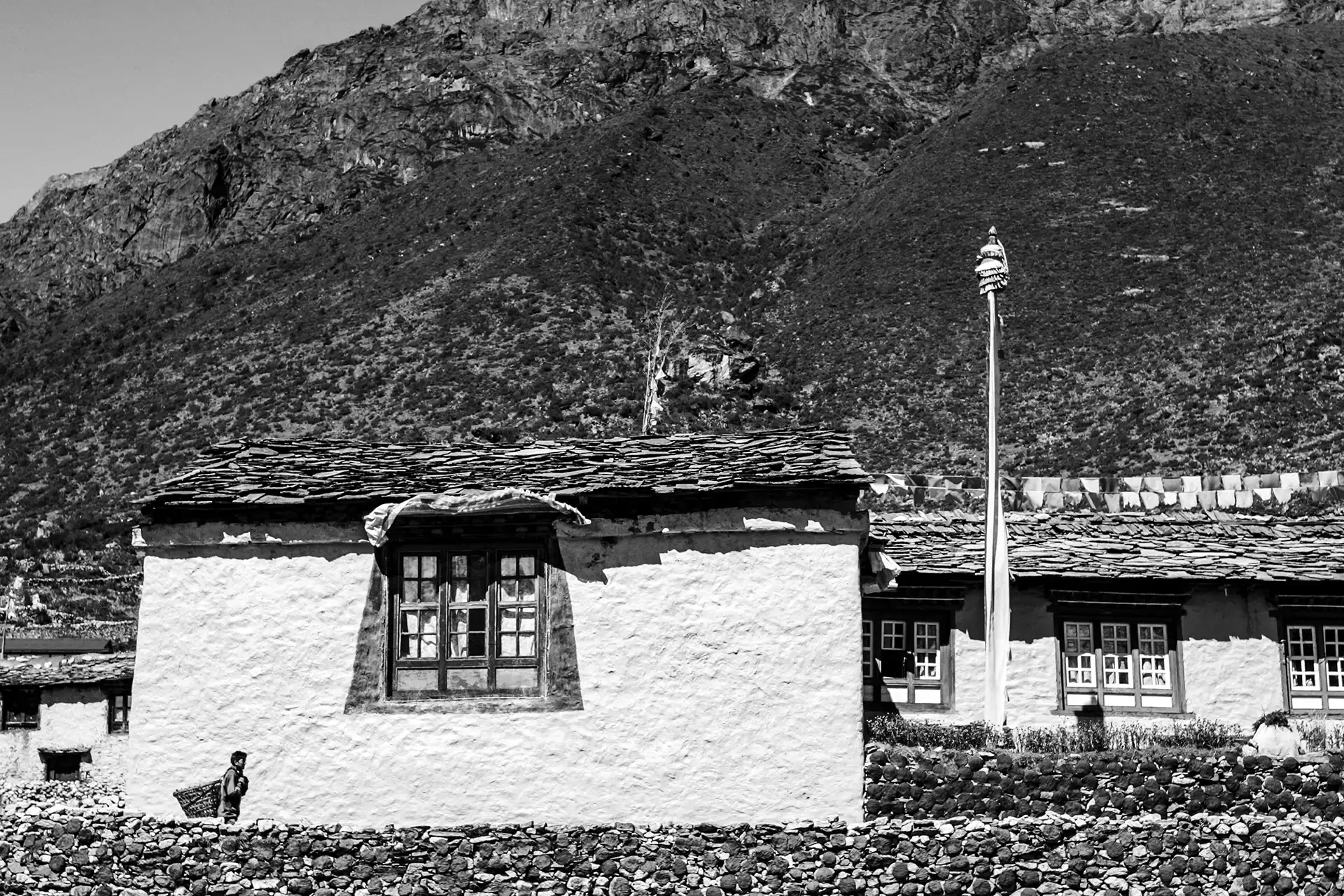 Gonçalo Cunha de Sá