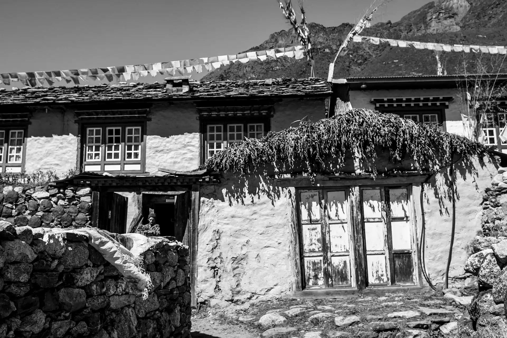 Gonçalo Cunha de Sá